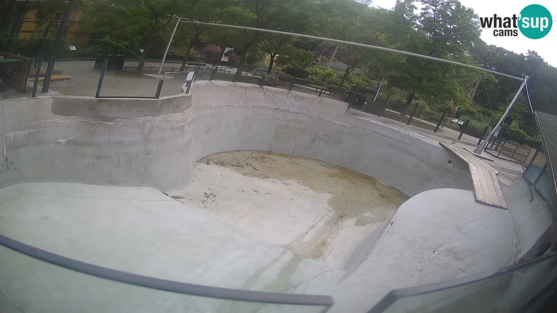 Zoo Zagreb – Kalifornijski morski lev