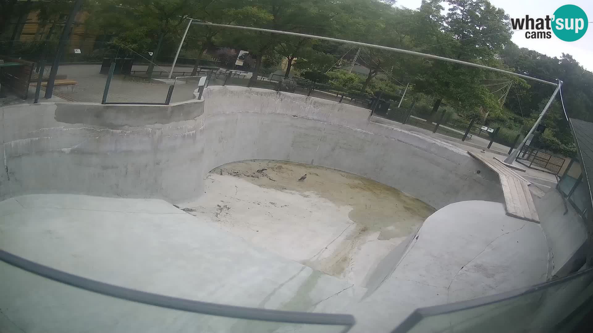 Zoo Zagreb – Kalifornischer Seelöwe