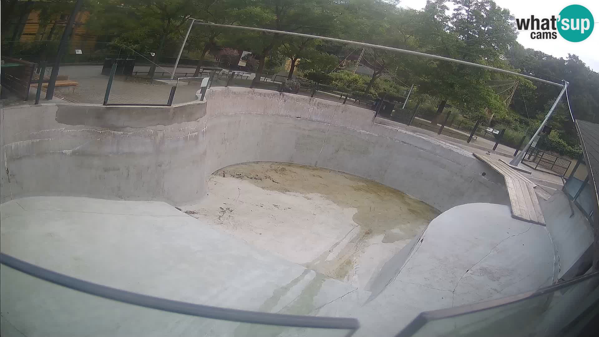 Zoo Zagreb – Kalifornijski morski lav