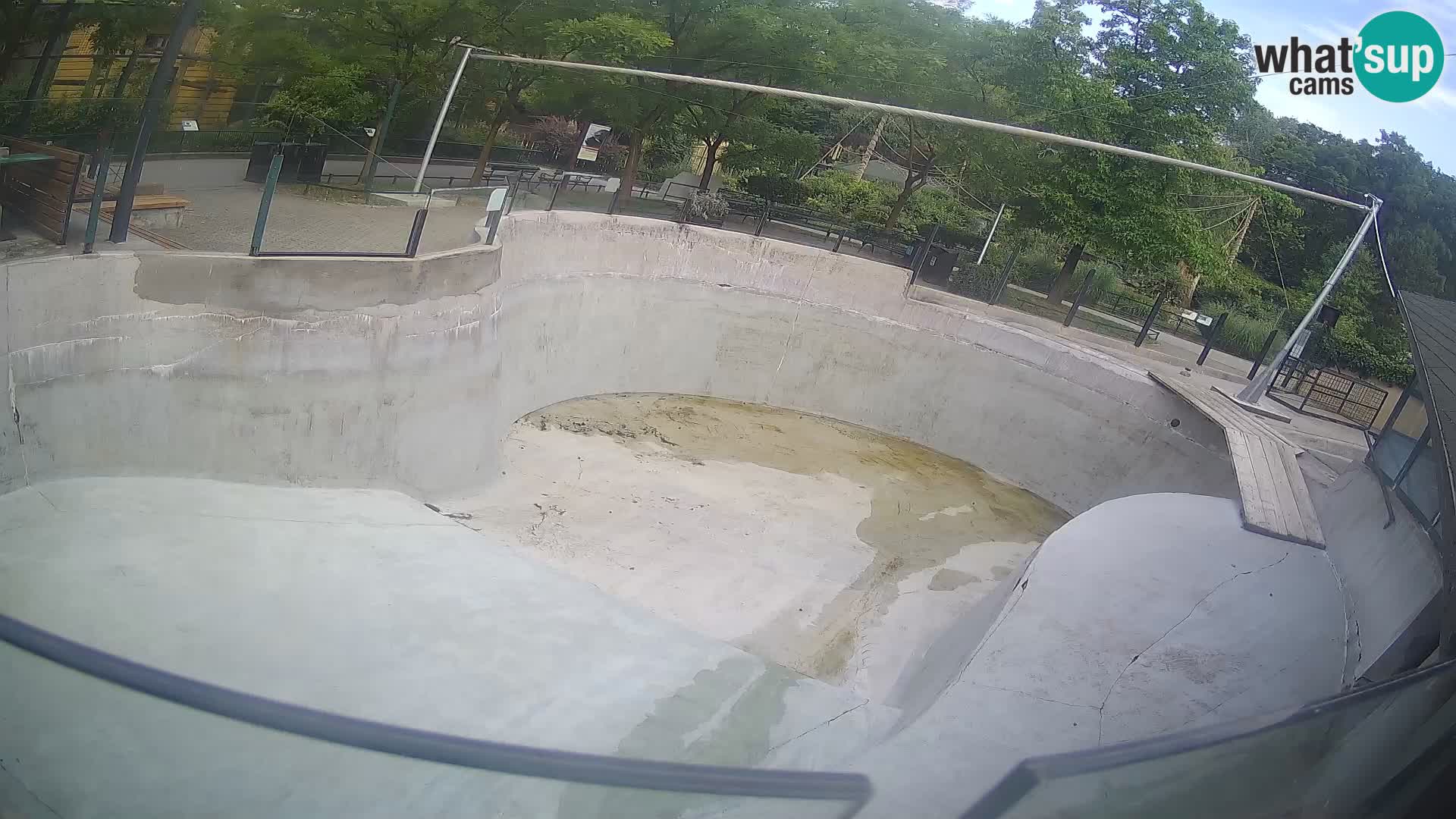 Zoo Zagreb – Kalifornijski morski lev