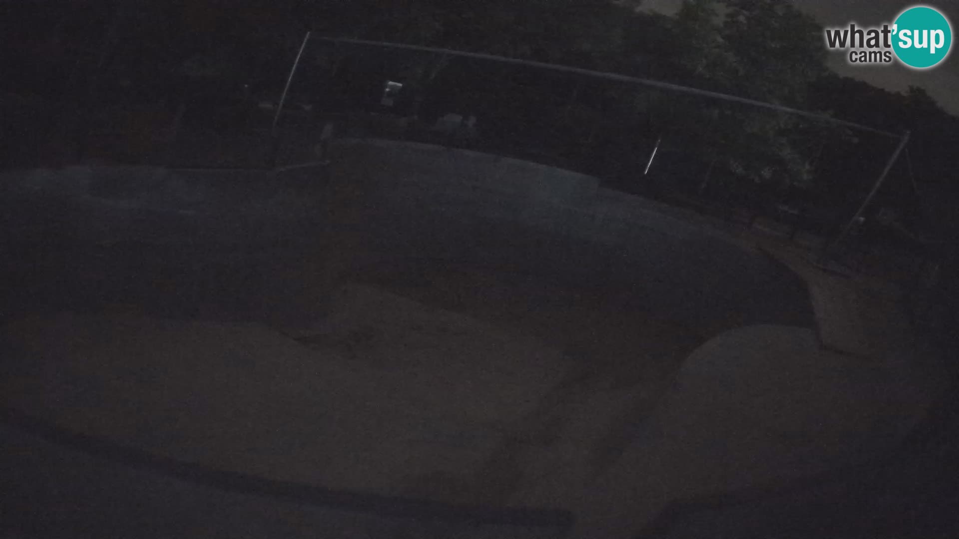 Zoo Zagreb – California Sea Lion