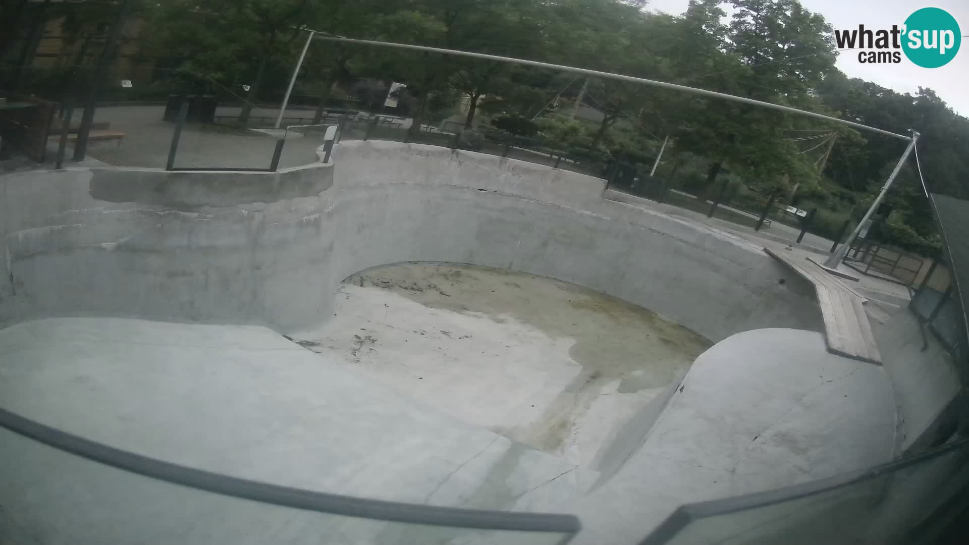 Zoo Zagreb – Kalifornijski morski lev