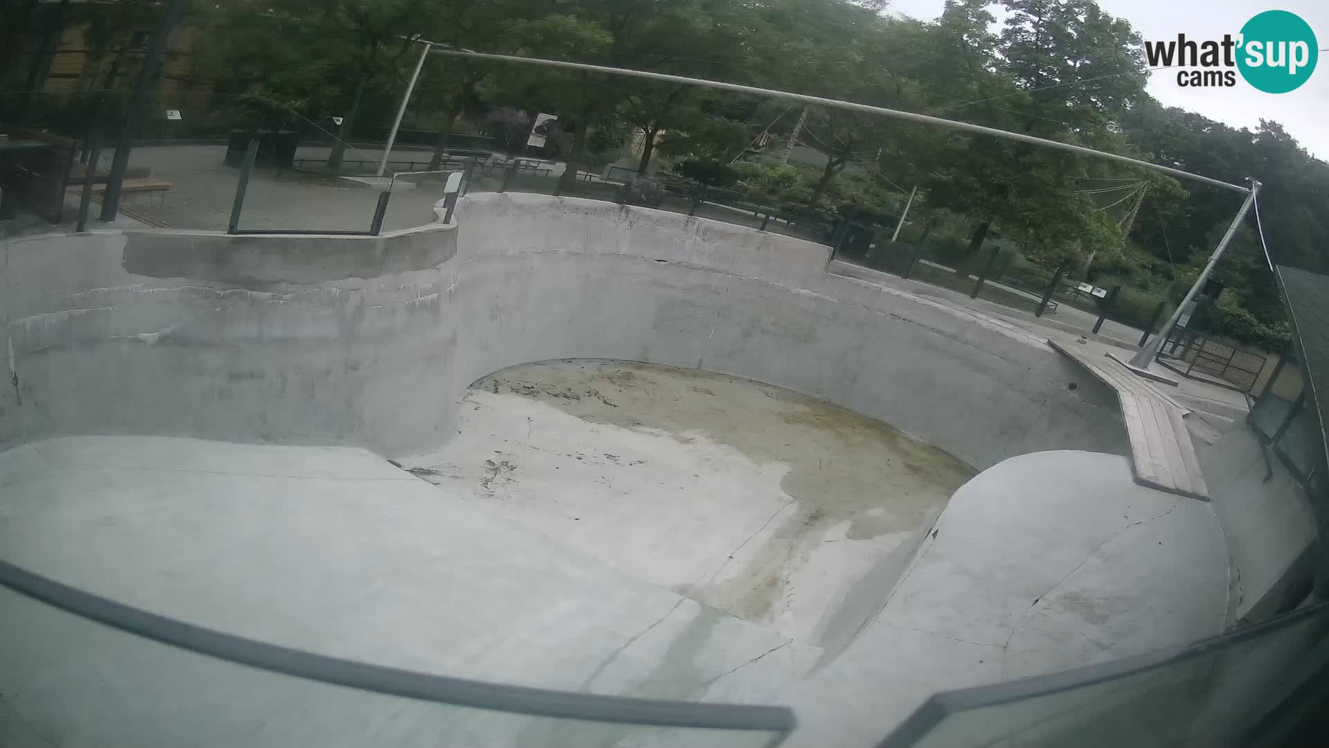 Zoo Zagreb – Kalifornijski morski lav