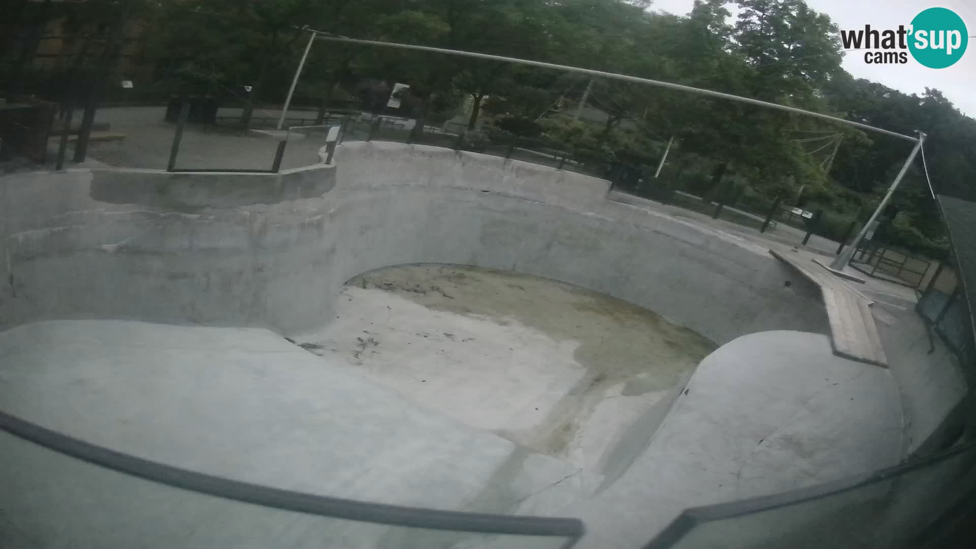 Zoo Zagreb – Kalifornijski morski lav