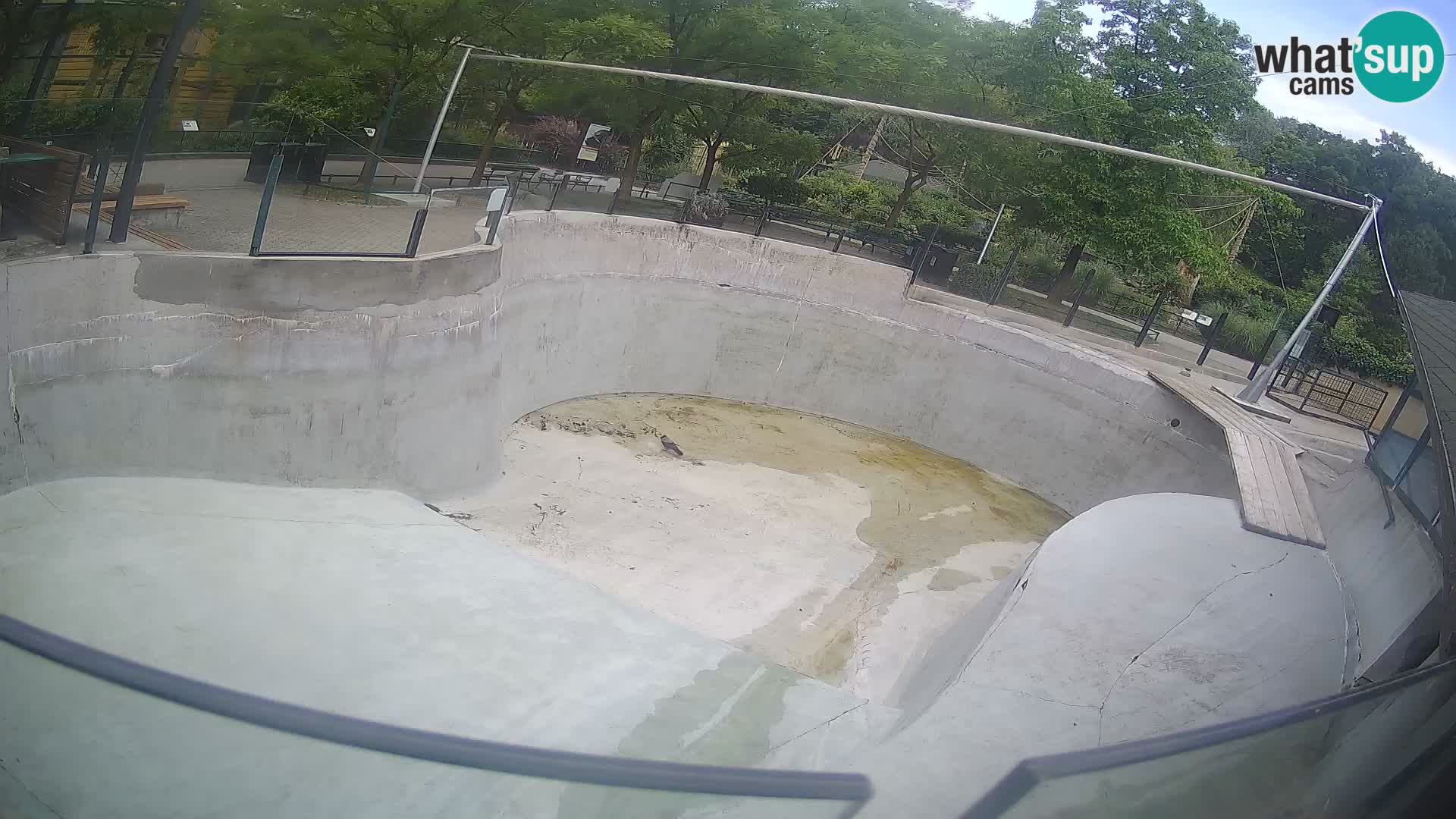 Zoo Zagreb –  León marino de California