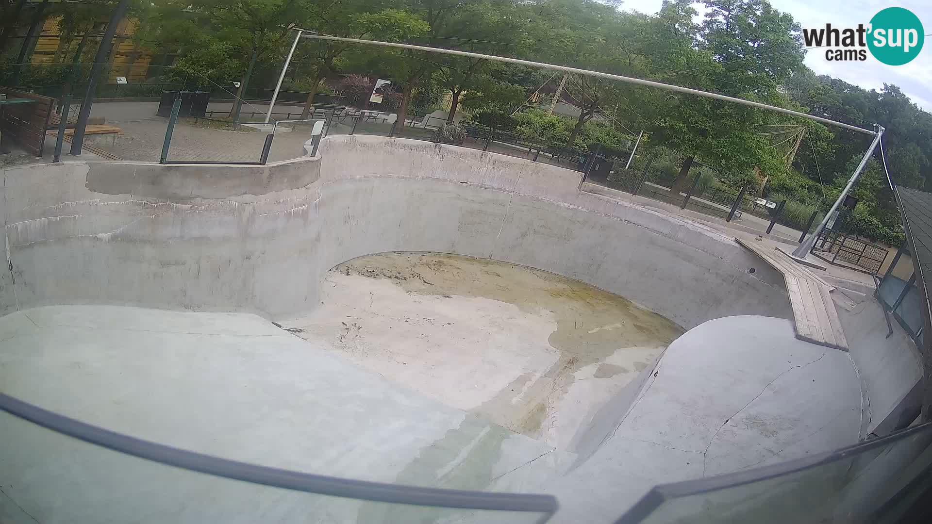 Zoo Zagreb –  León marino de California