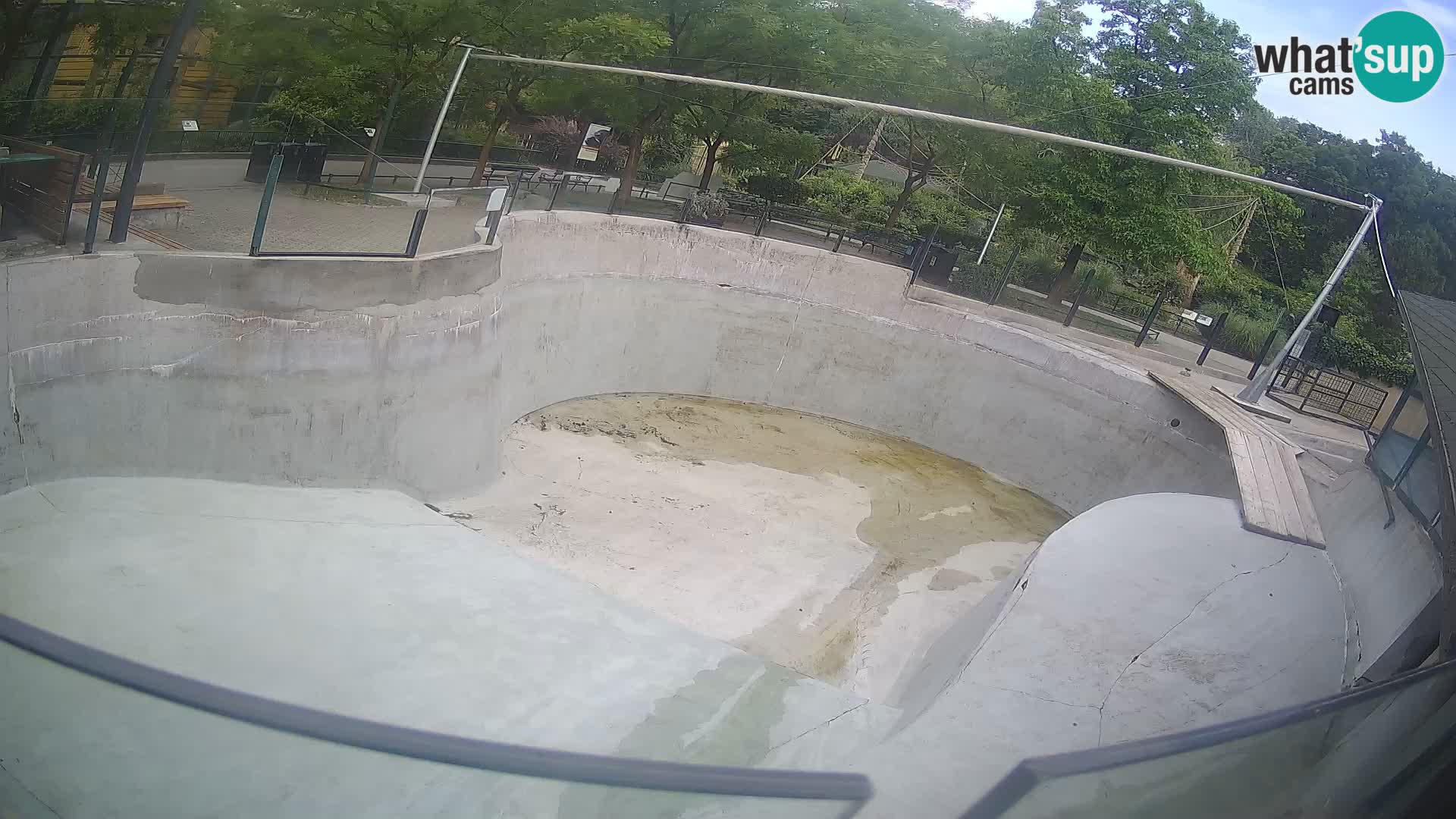 Zoo Zagreb –  León marino de California