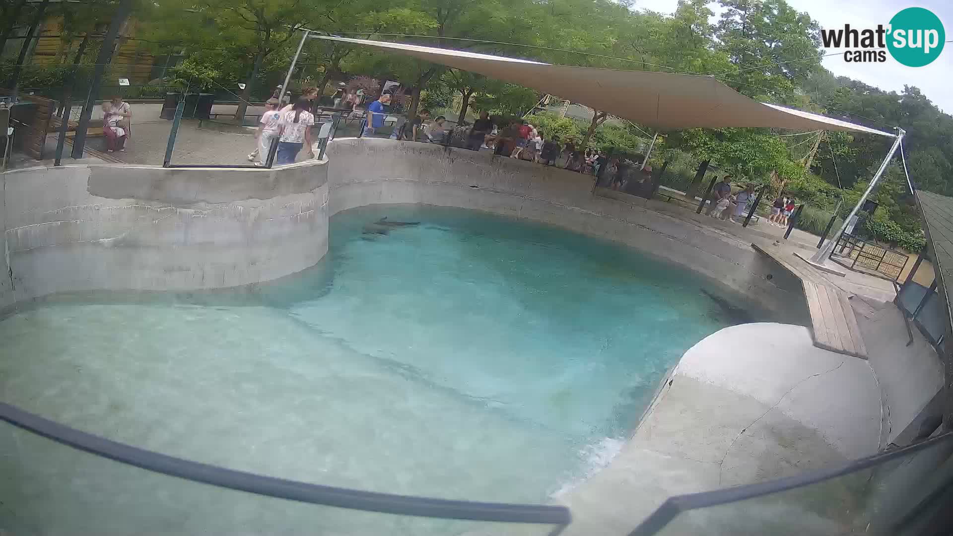 Zoo Zagreb – Kalifornijski morski lev