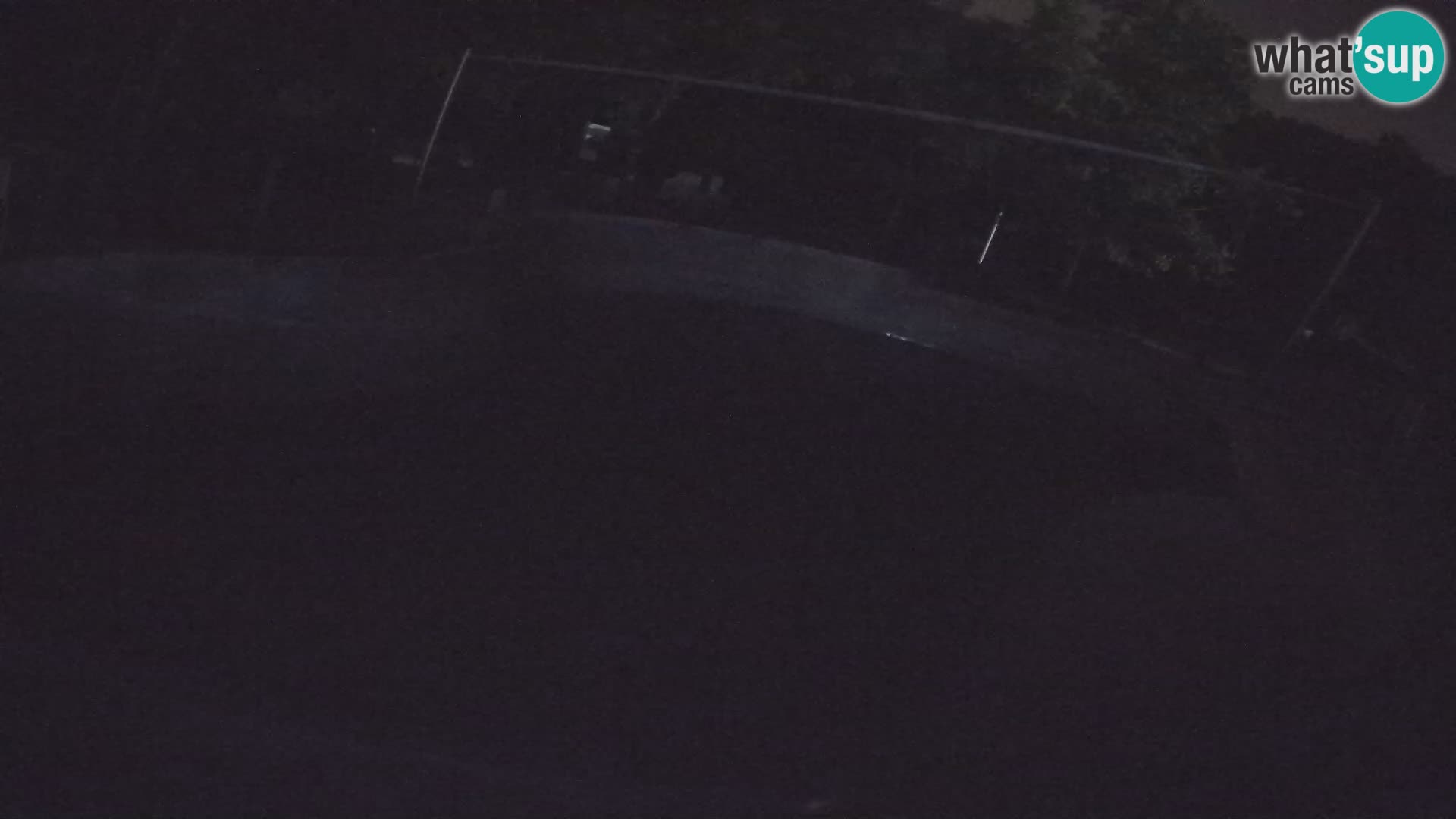 Zoo Zagreb – California Sea Lion