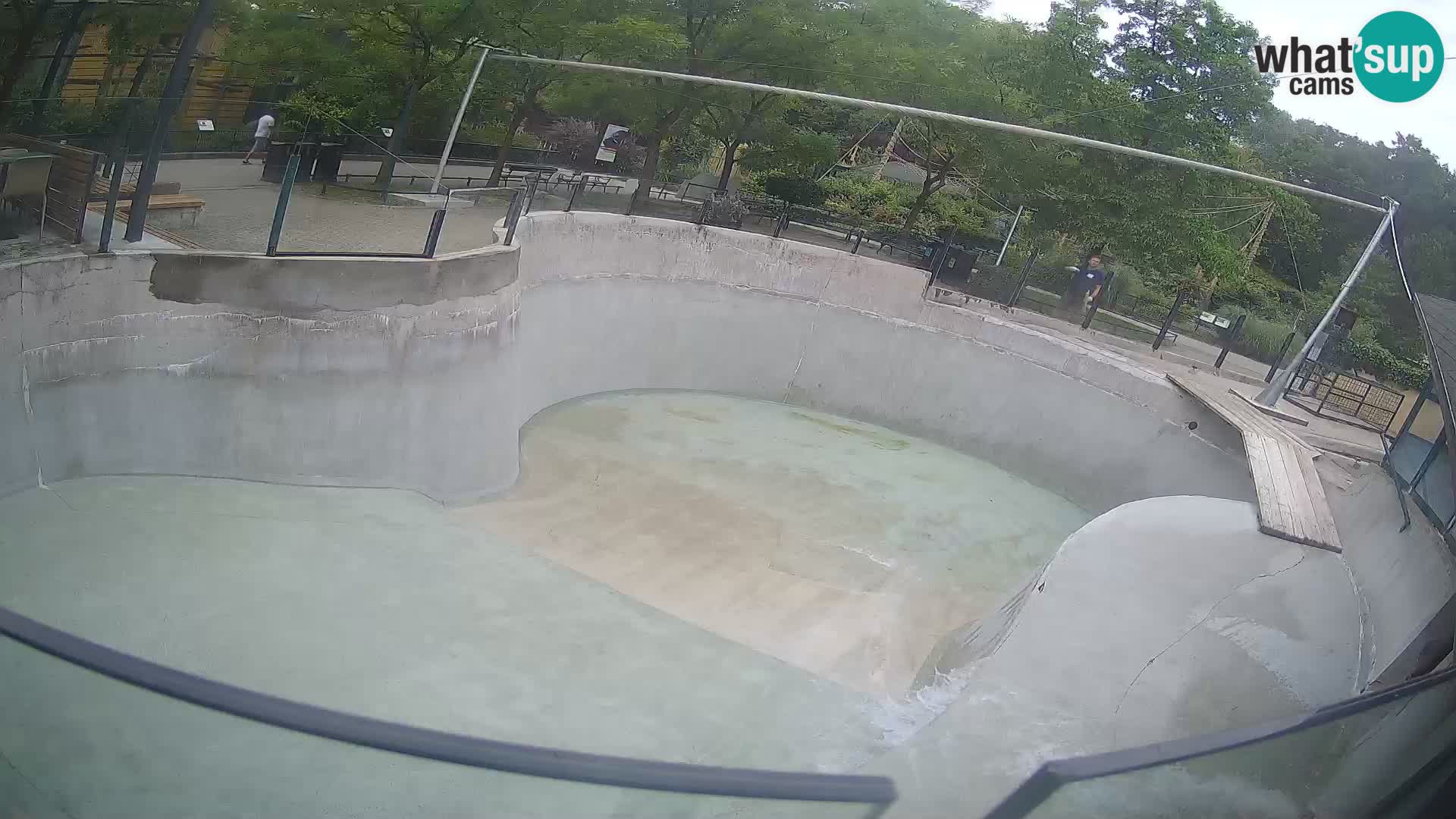 Zoo Zagreb – Kalifornijski morski lev