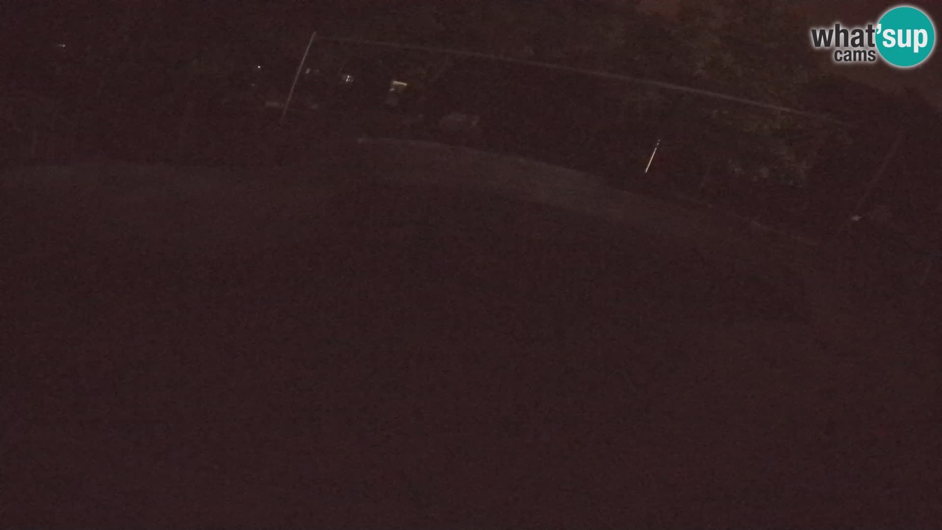 Zoo Zagreb – Kalifornijski morski lav