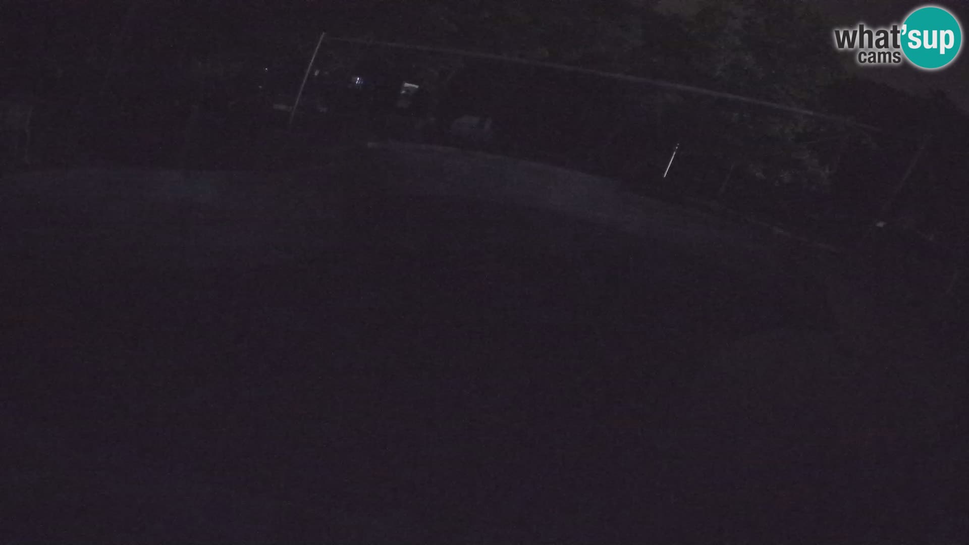 Zoo Zagreb – Kalifornijski morski lav