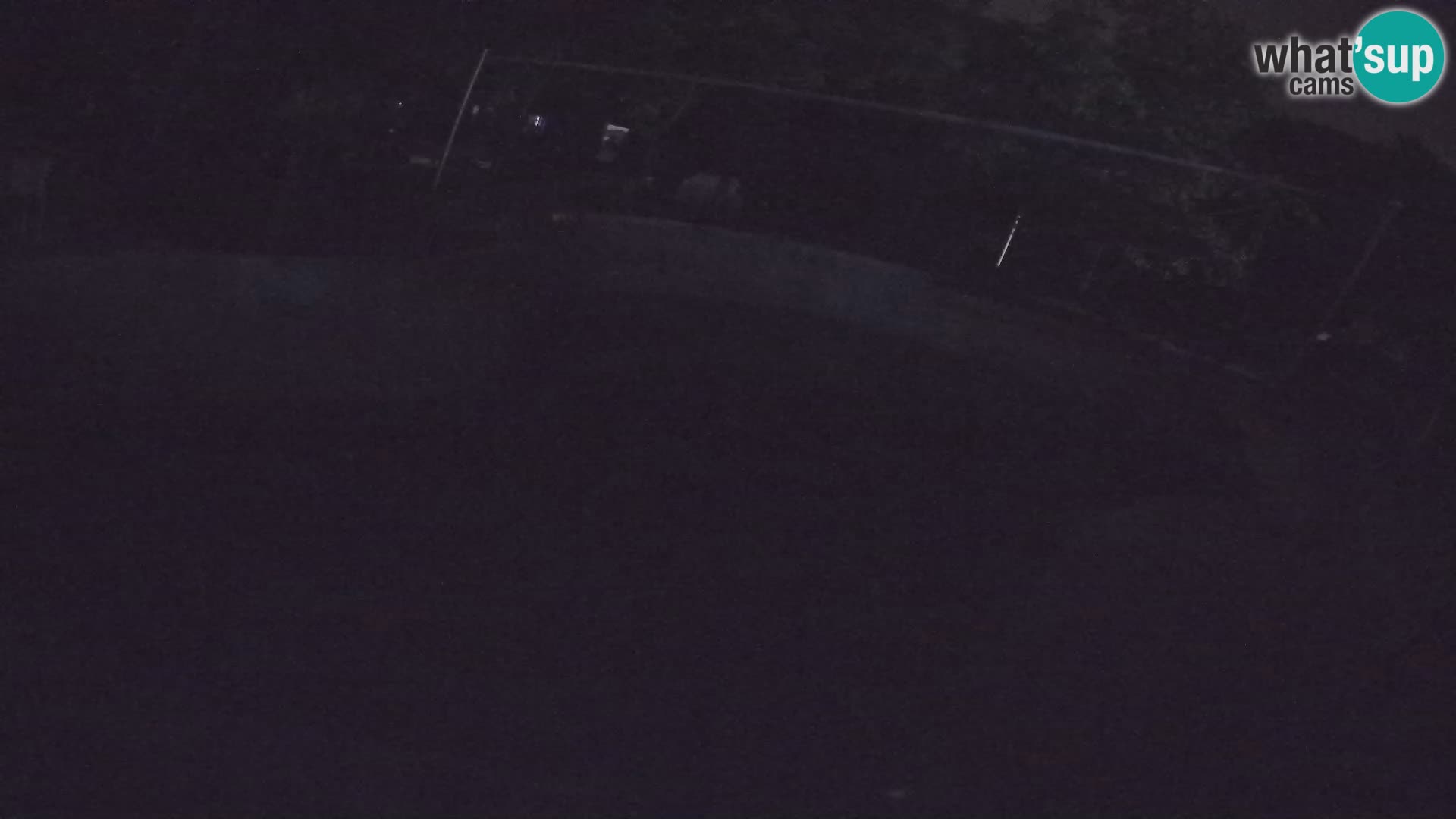 Zoo Zagreb – California Sea Lion