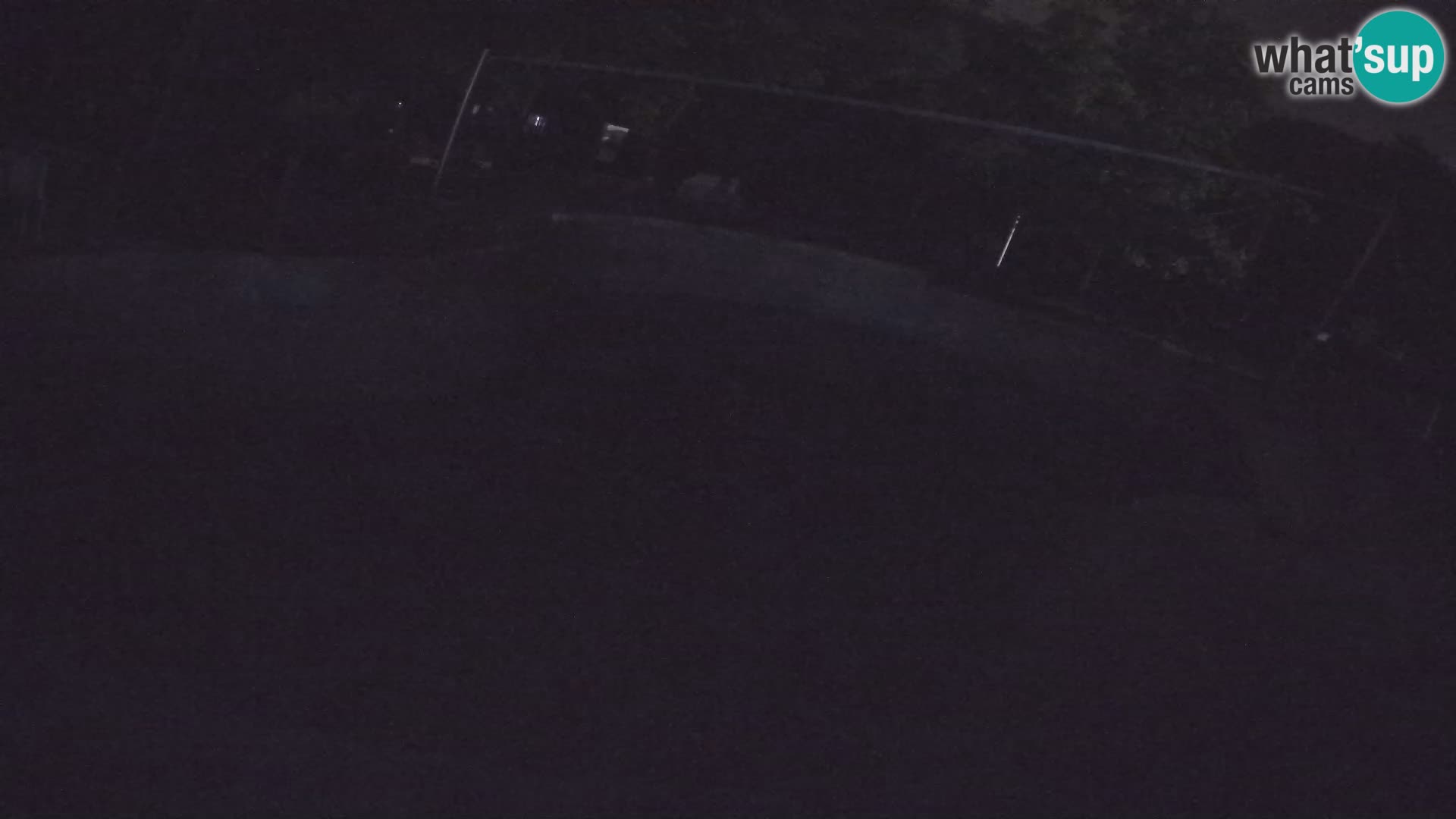 Zoo Zagreb – California Sea Lion