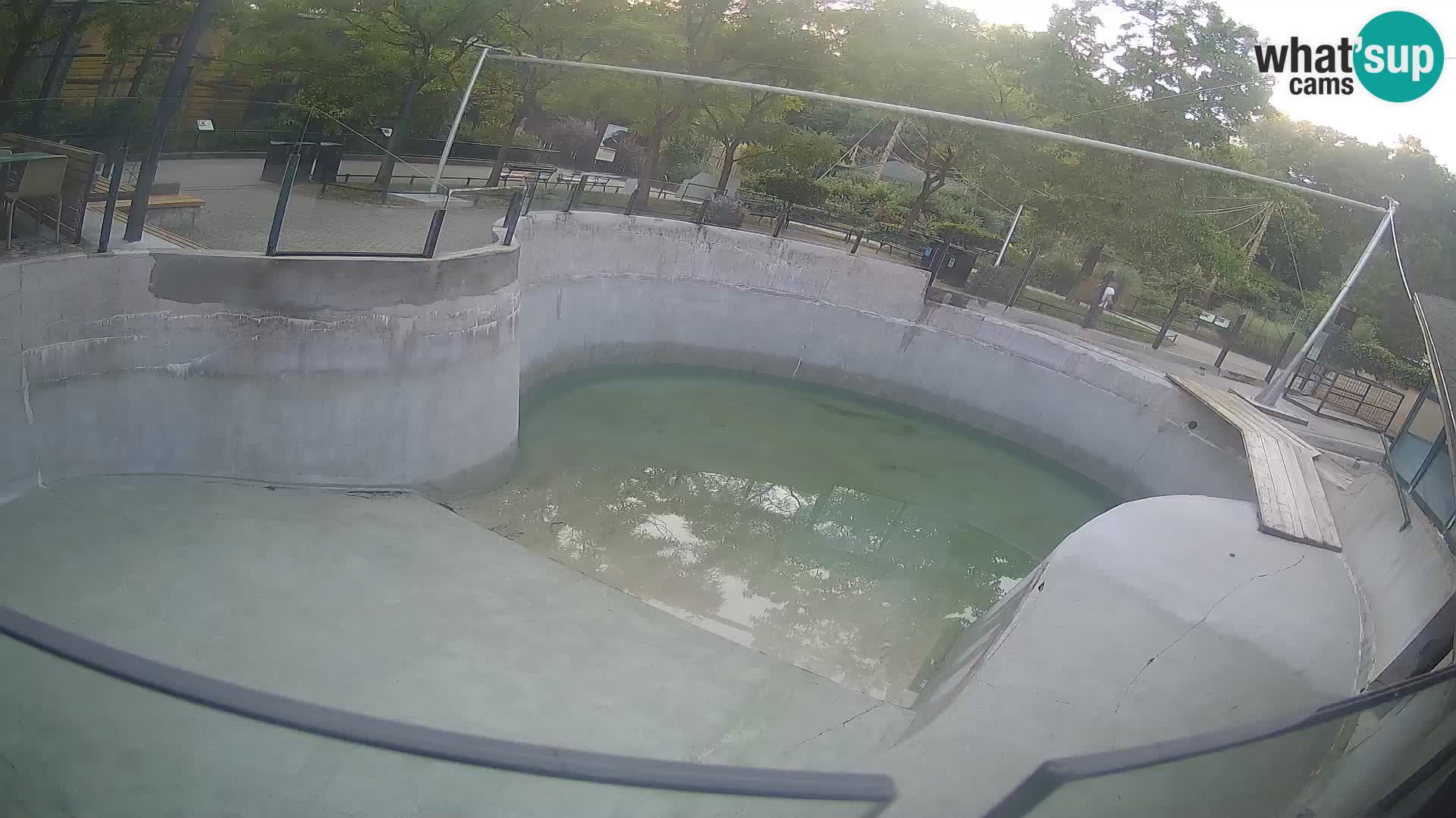 Zoo Zagreb – Kalifornischer Seelöwe