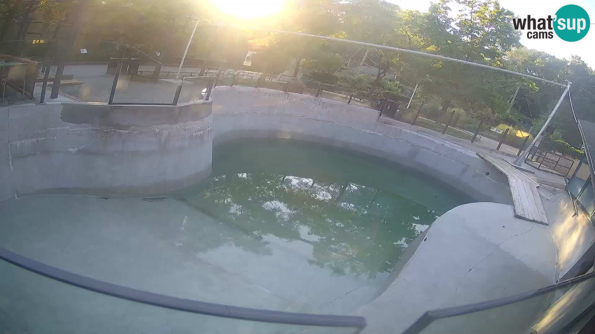 Zoo Zagreb – Kalifornijski morski lav
