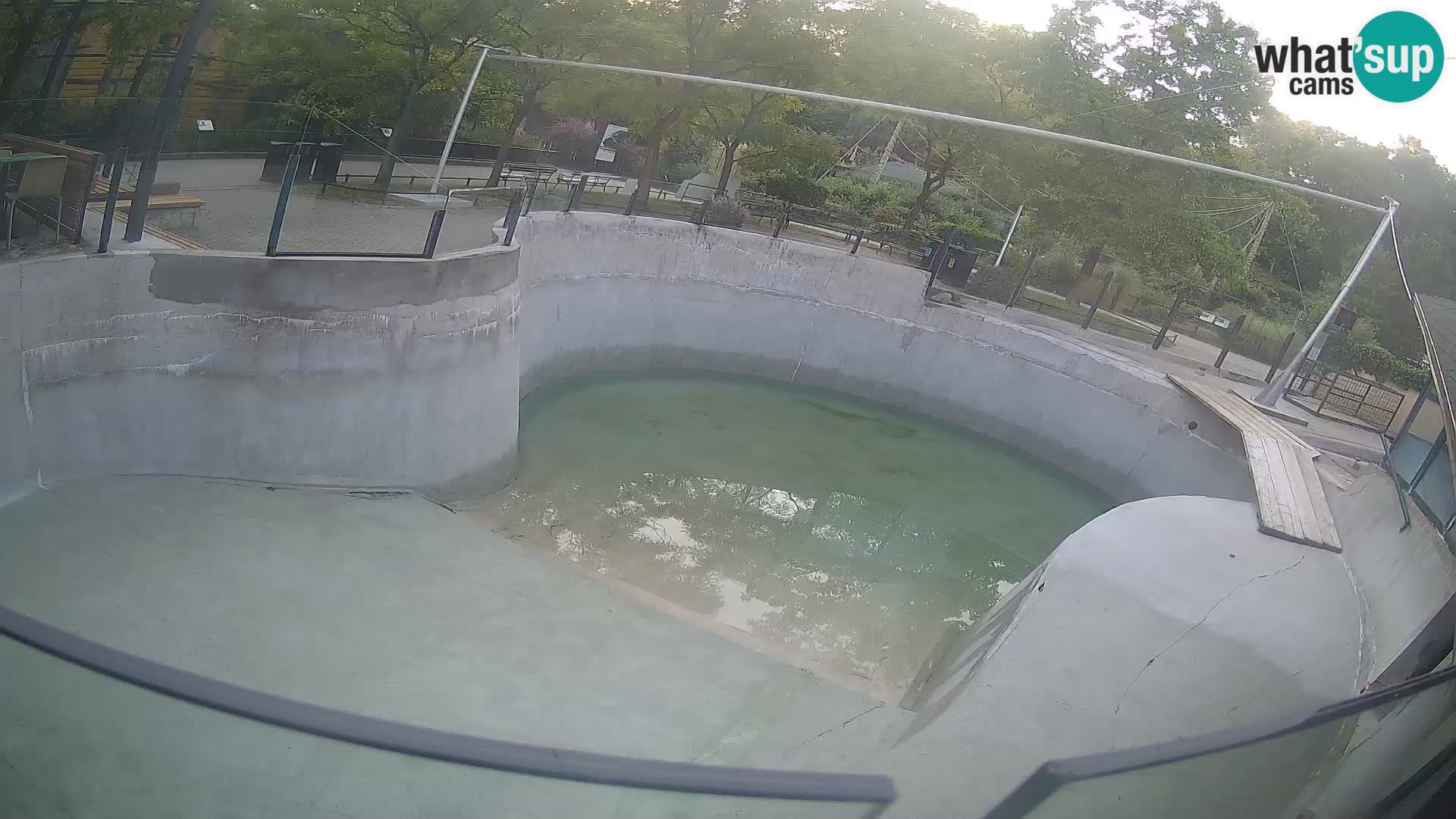 Zoo Zagreb – California Sea Lion