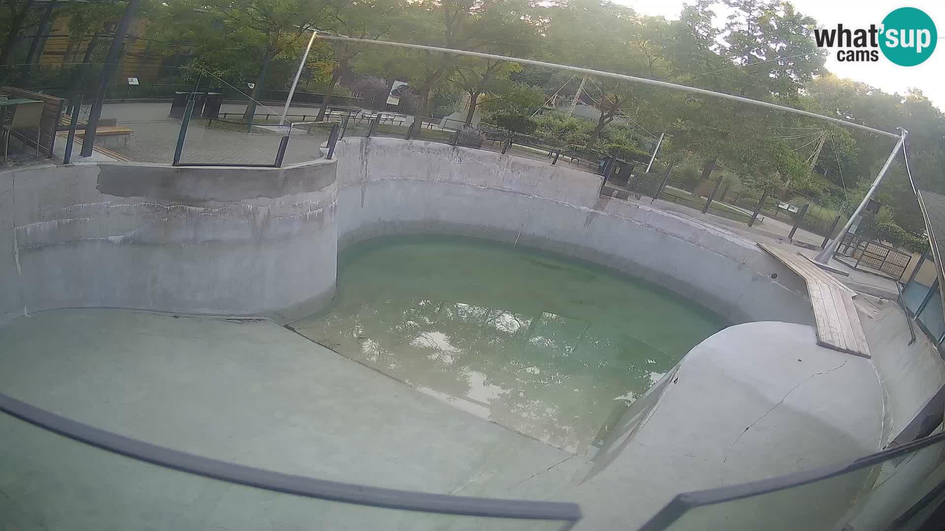 Zoo Zagreb – Kalifornijski morski lev