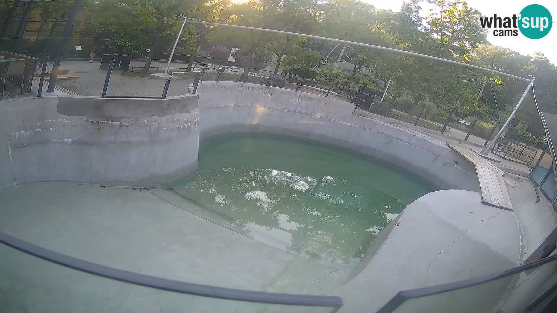 Zoo Zagreb – Kalifornijski morski lev