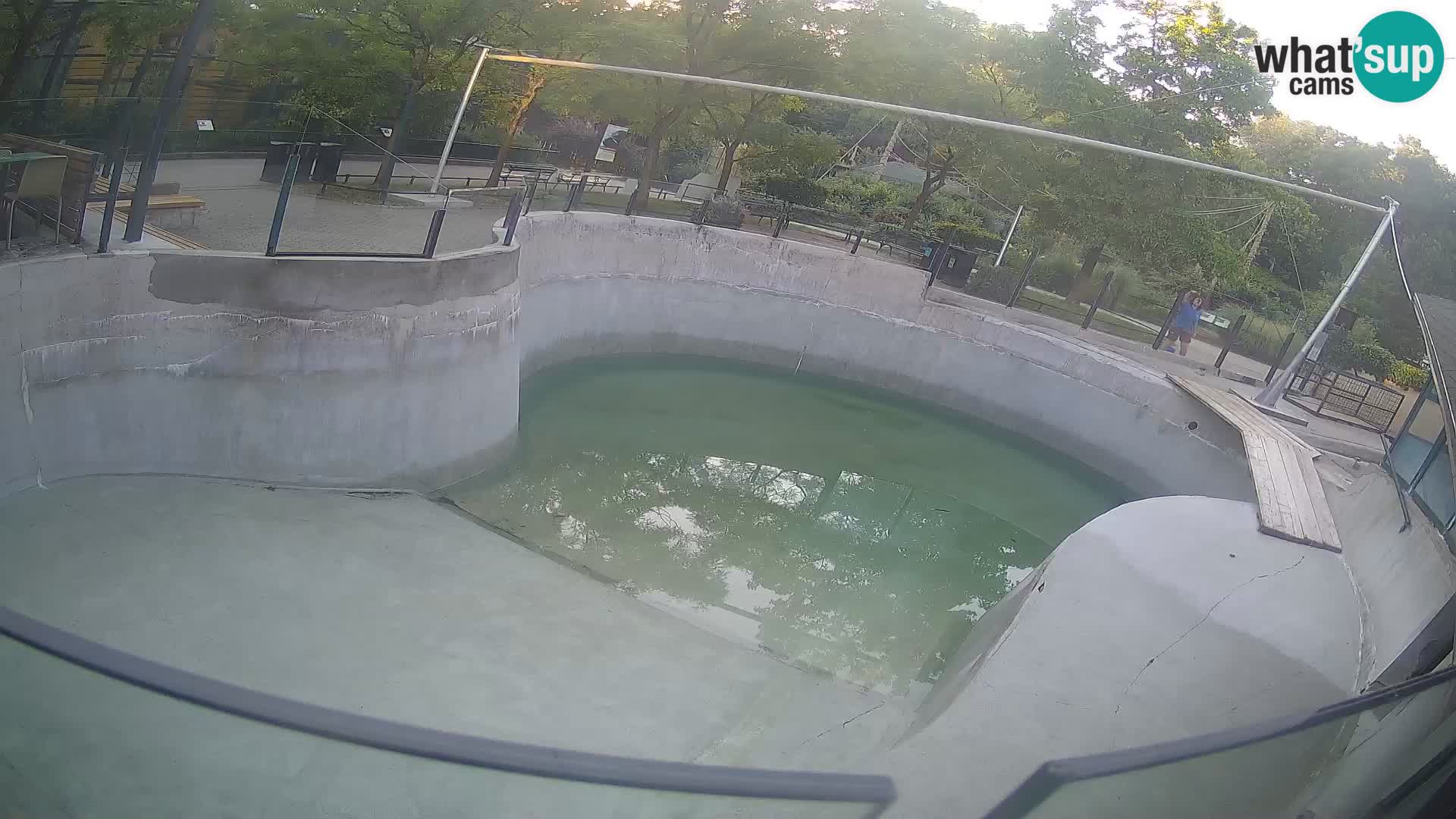 Zoo Zagreb – Kalifornijski morski lav