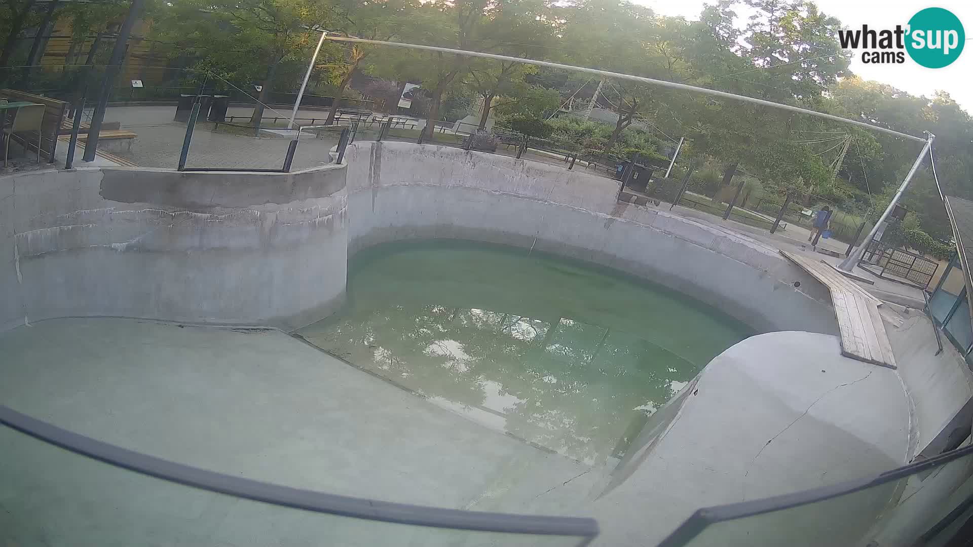 Zoo Zagreb – Kalifornijski morski lav