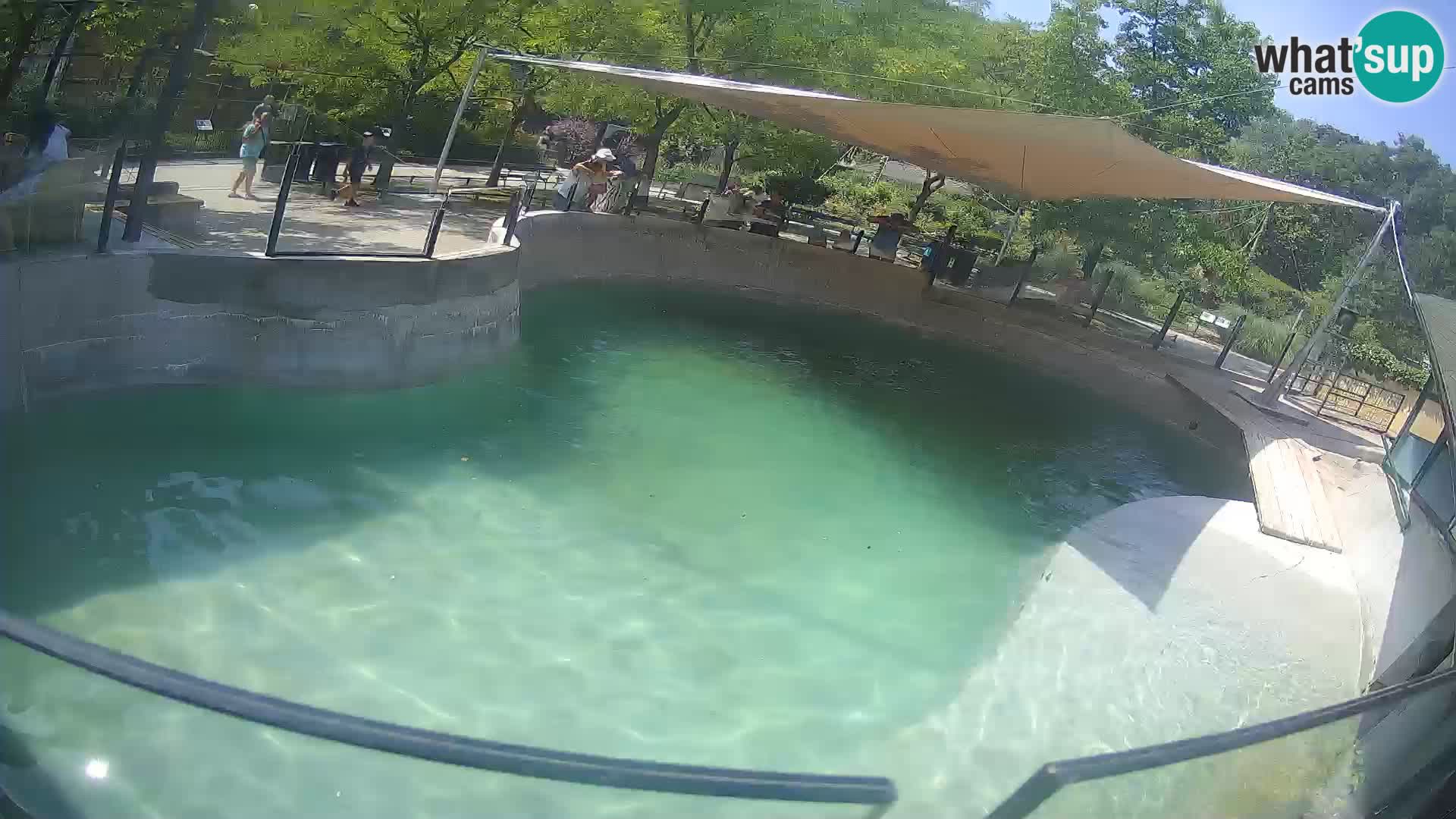 Zoo Zagreb – Kalifornijski morski lev