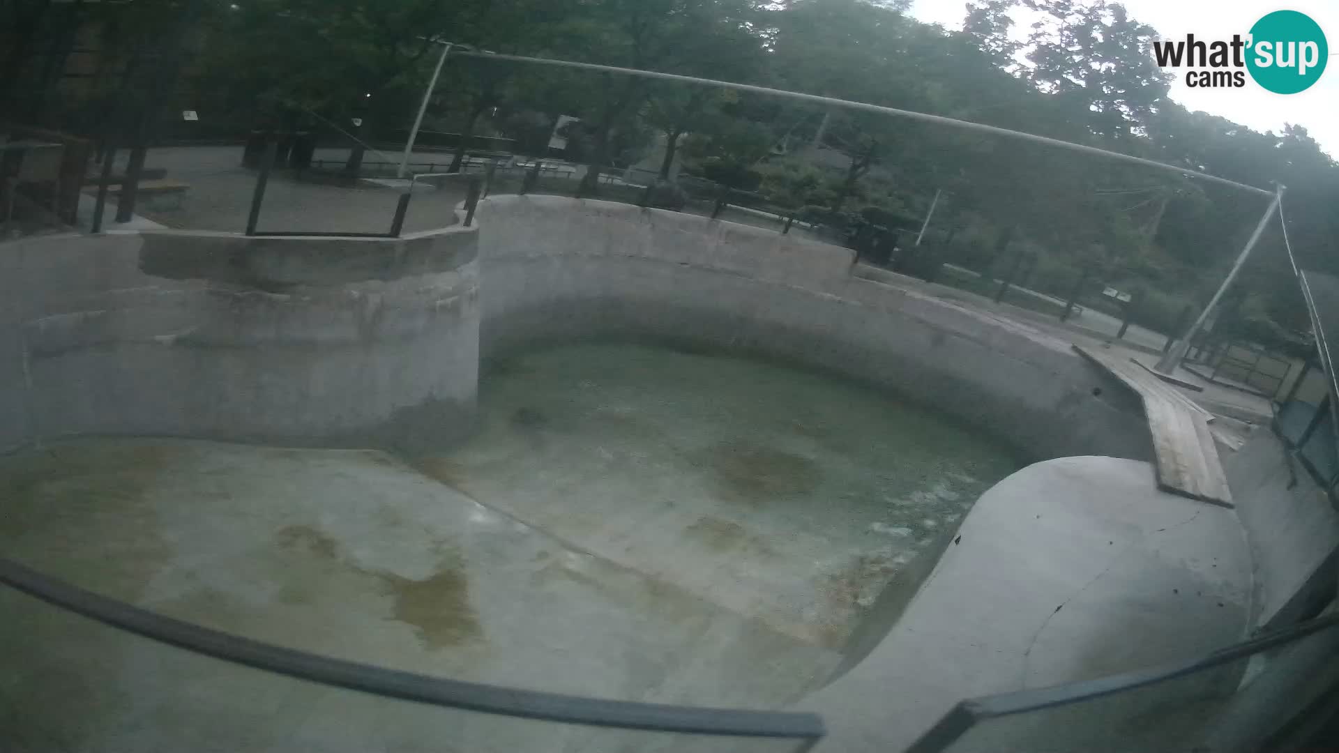 Zoo Zagreb – Kalifornijski morski lev