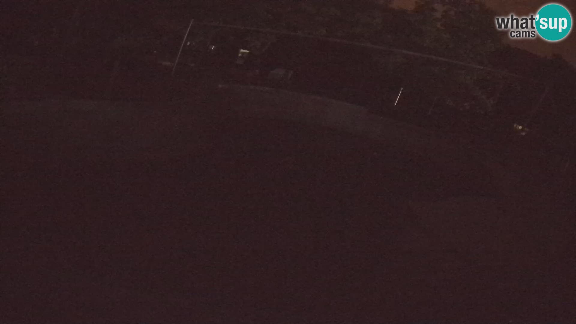 Zoo Zagreb – Kalifornijski morski lav