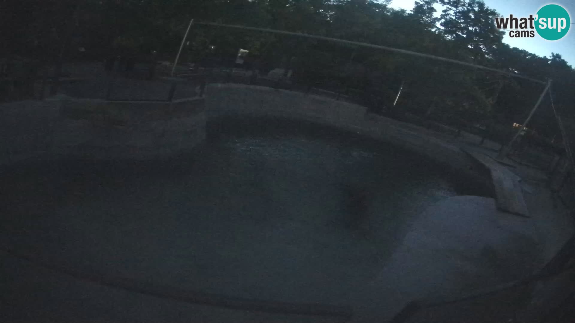 Zoo Zagreb – California Sea Lion