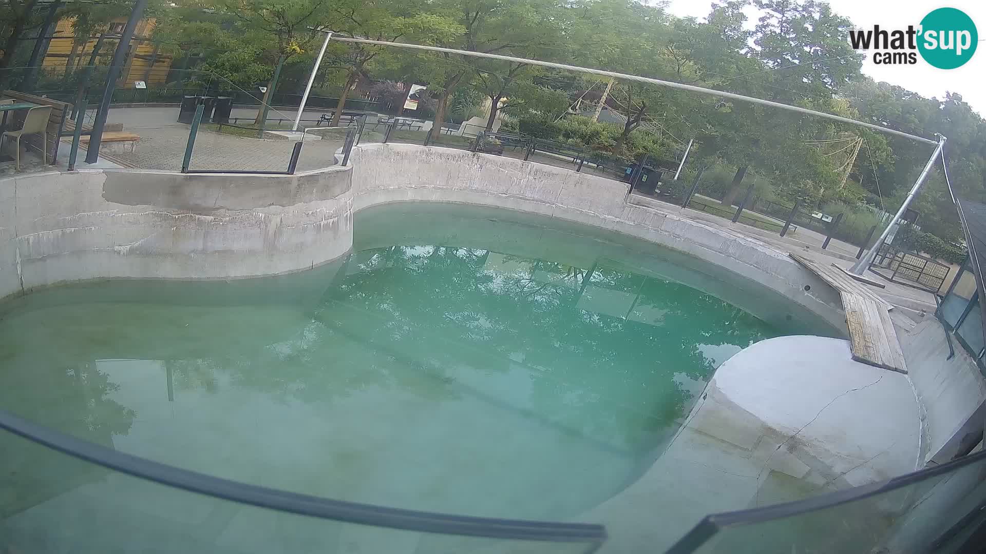 Zoo Zagreb – Kalifornijski morski lav