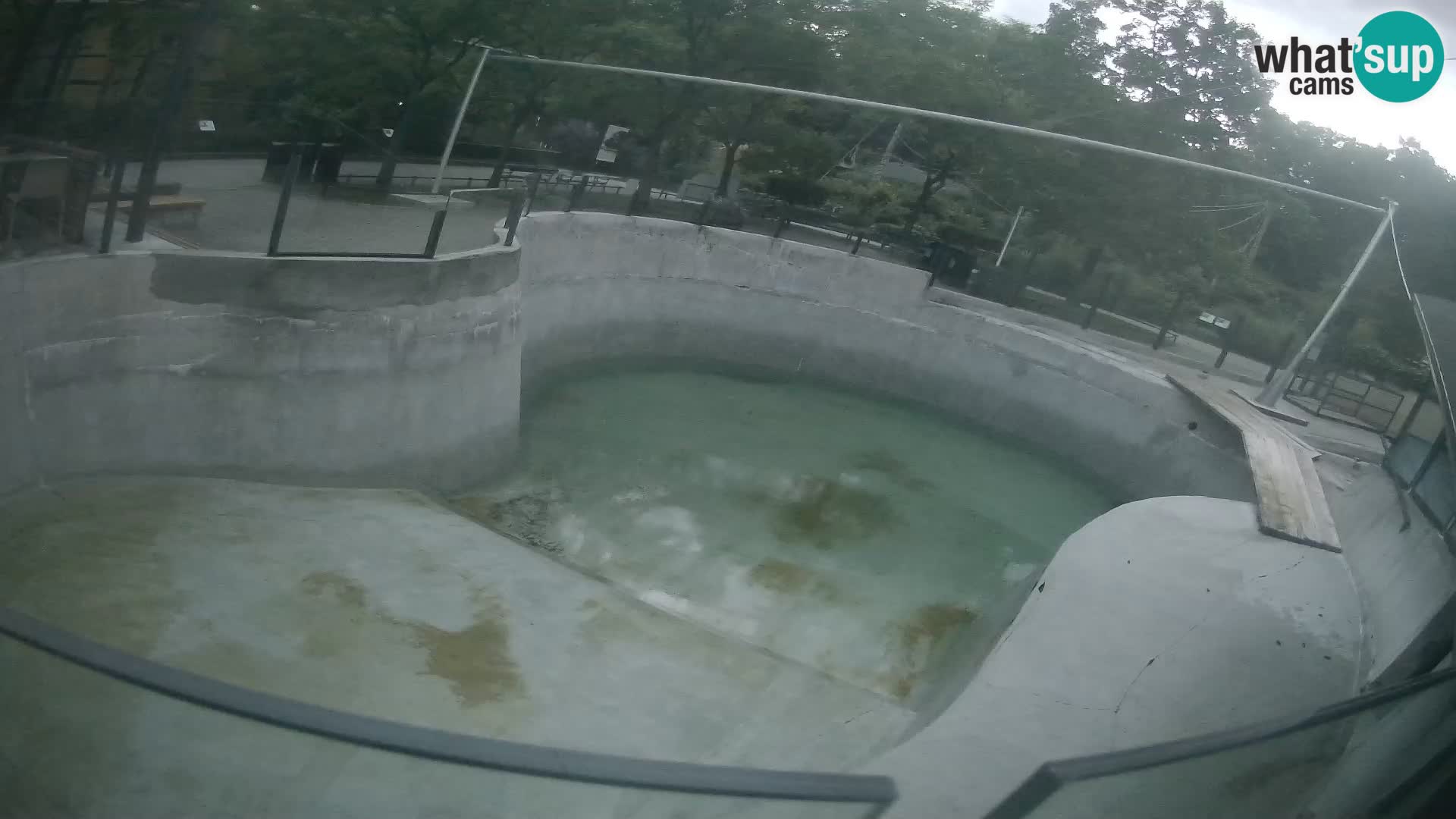 Zoo Zagreb – Kalifornijski morski lav
