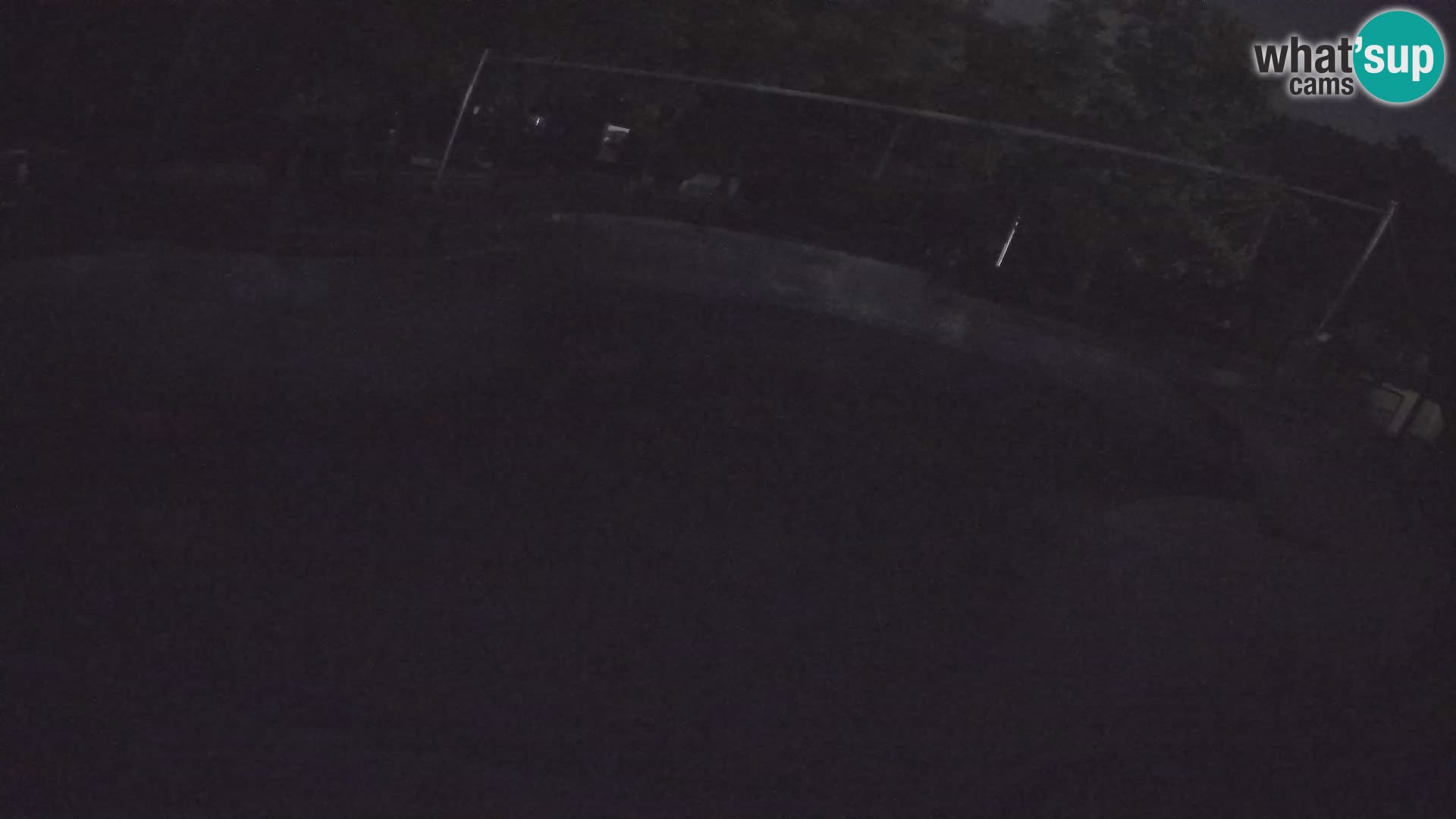 Zoo Zagreb – California Sea Lion