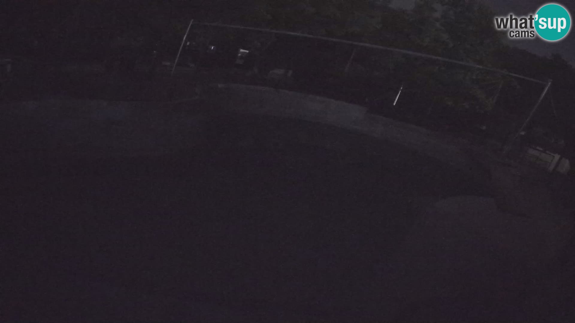 Zoo Zagreb – California Sea Lion