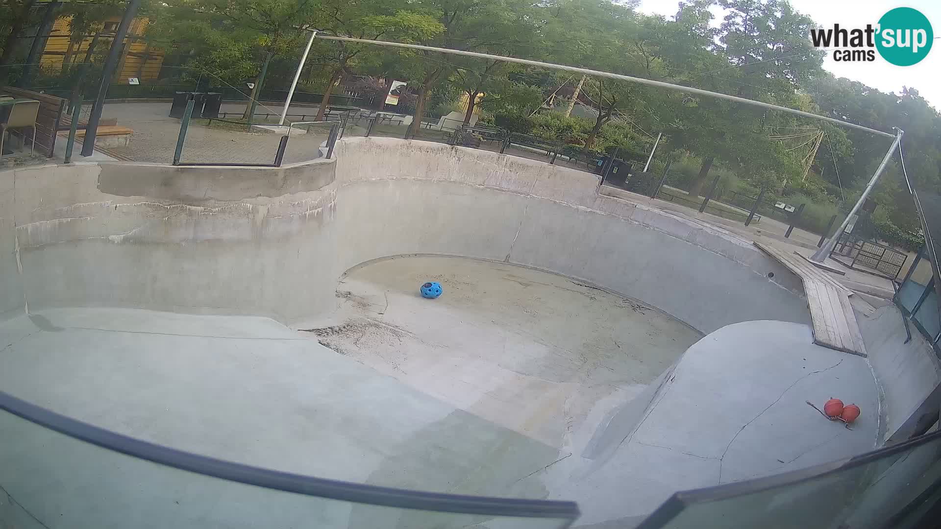 Zoo Zagreb – Kalifornijski morski lev