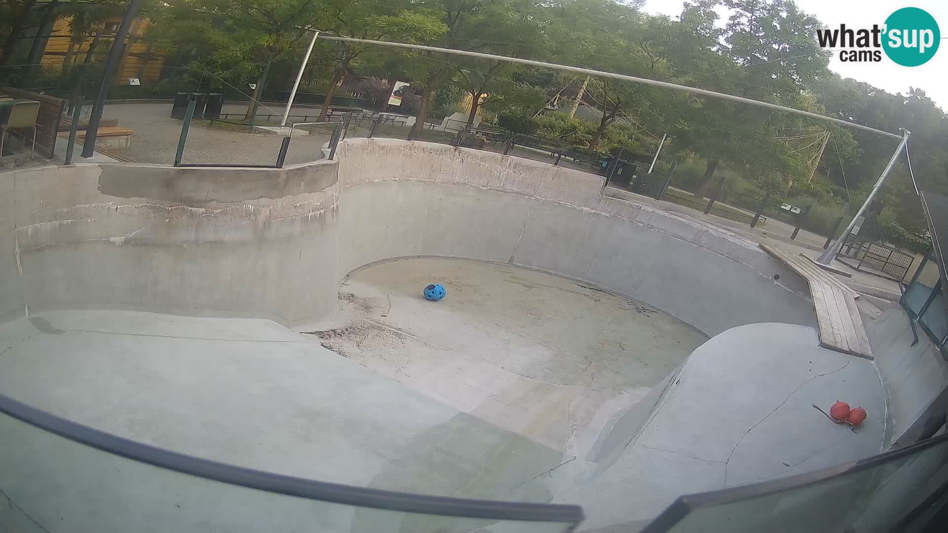 Zoo Zagreb – Kalifornijski morski lav