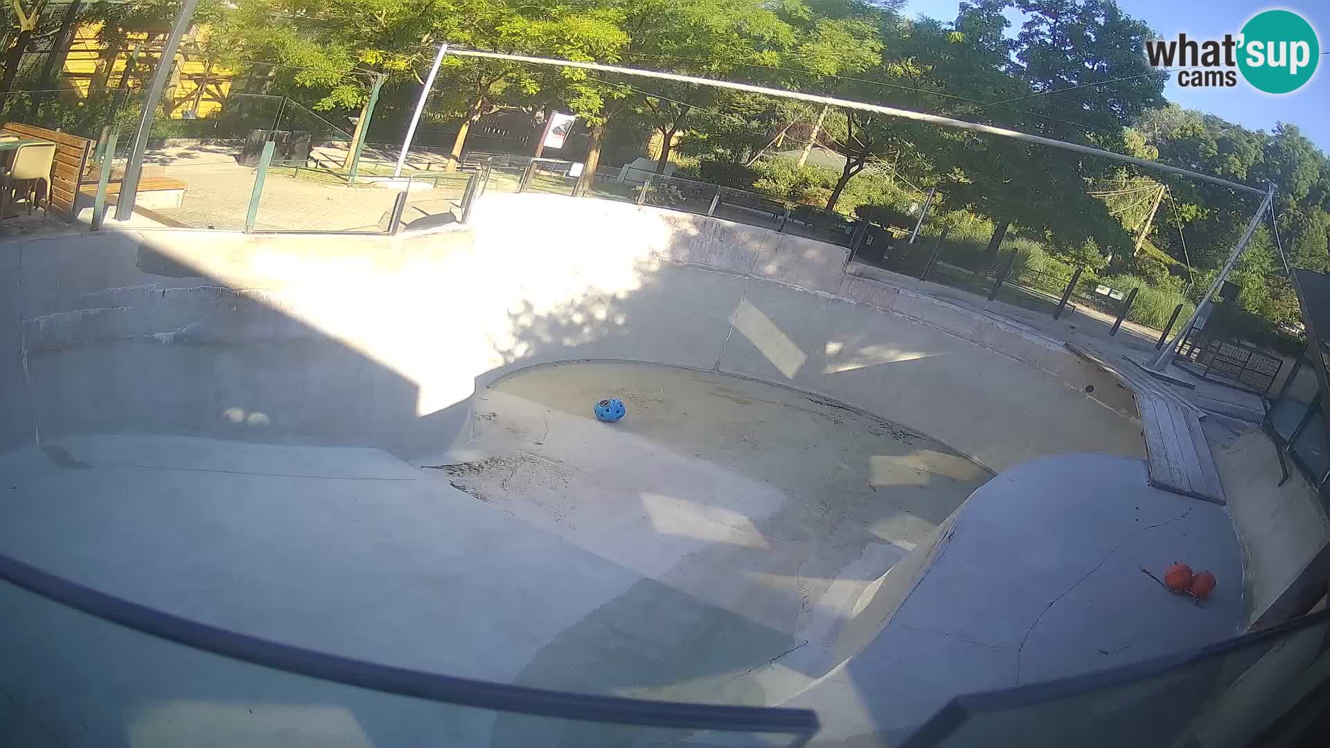 Zoo Zagreb – Kalifornijski morski lav