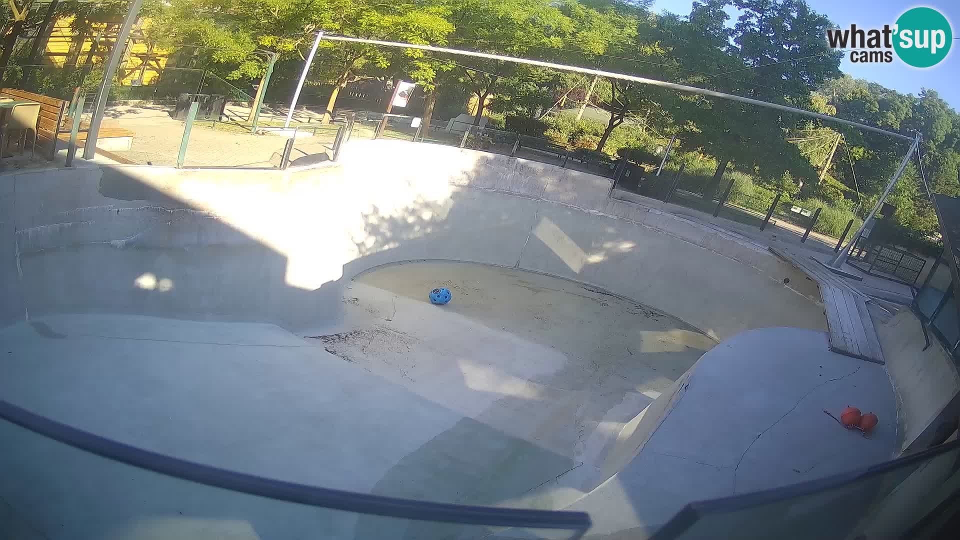 Zoo Zagreb – Otaria della California