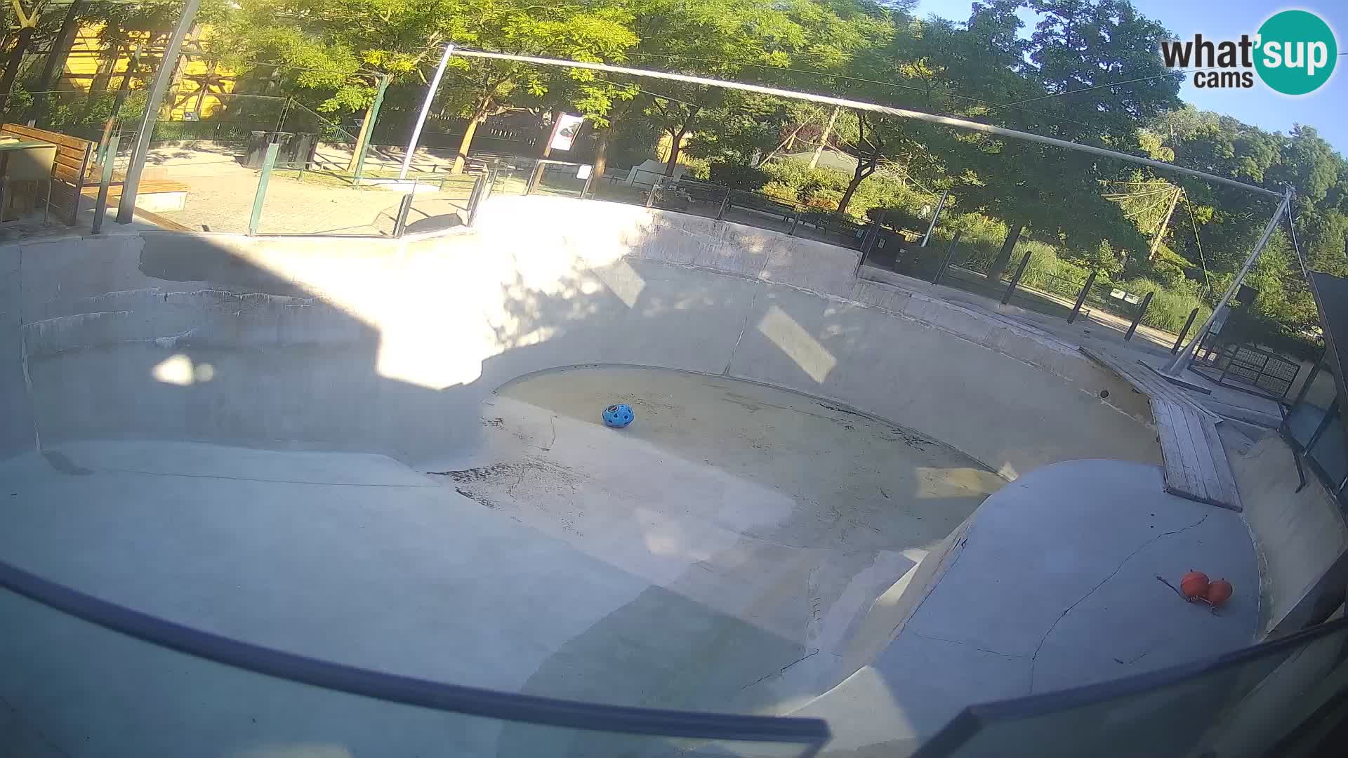 Zoo Zagreb – Kalifornijski morski lev