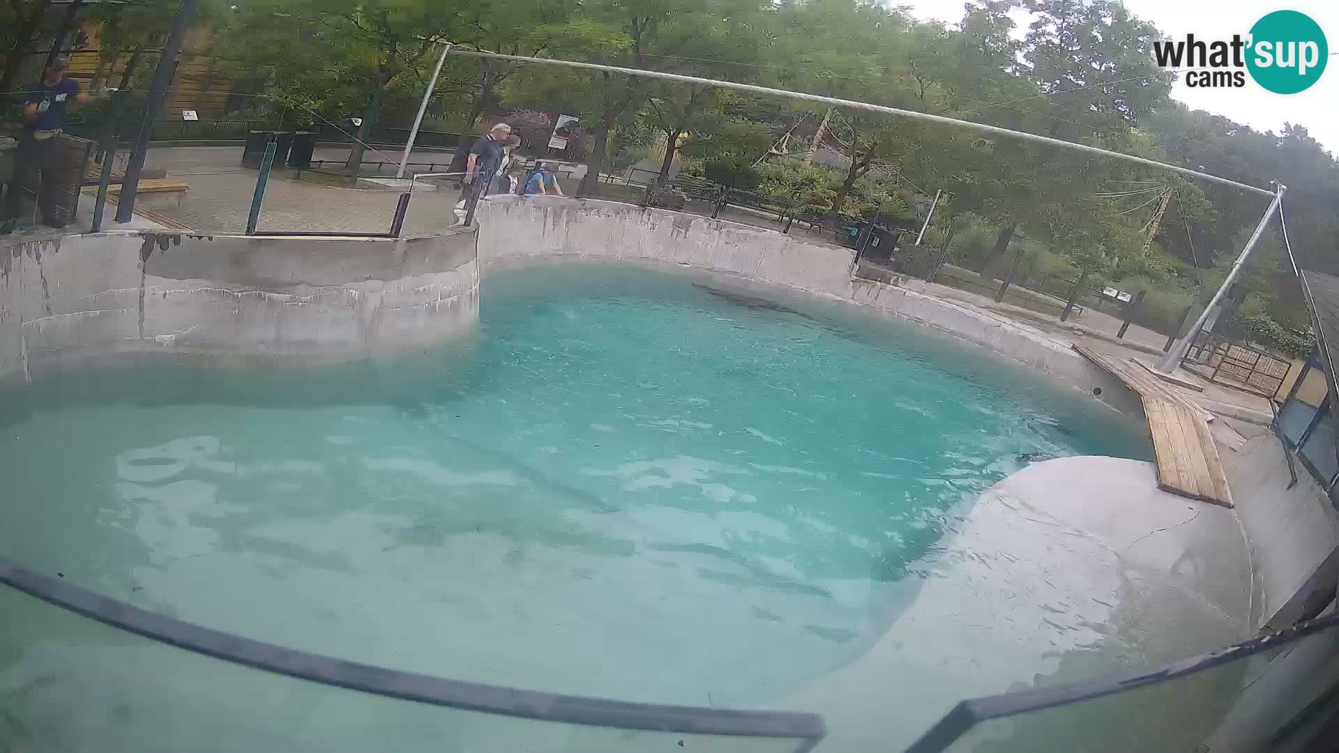 Zoo Zagreb – Kalifornijski morski lav