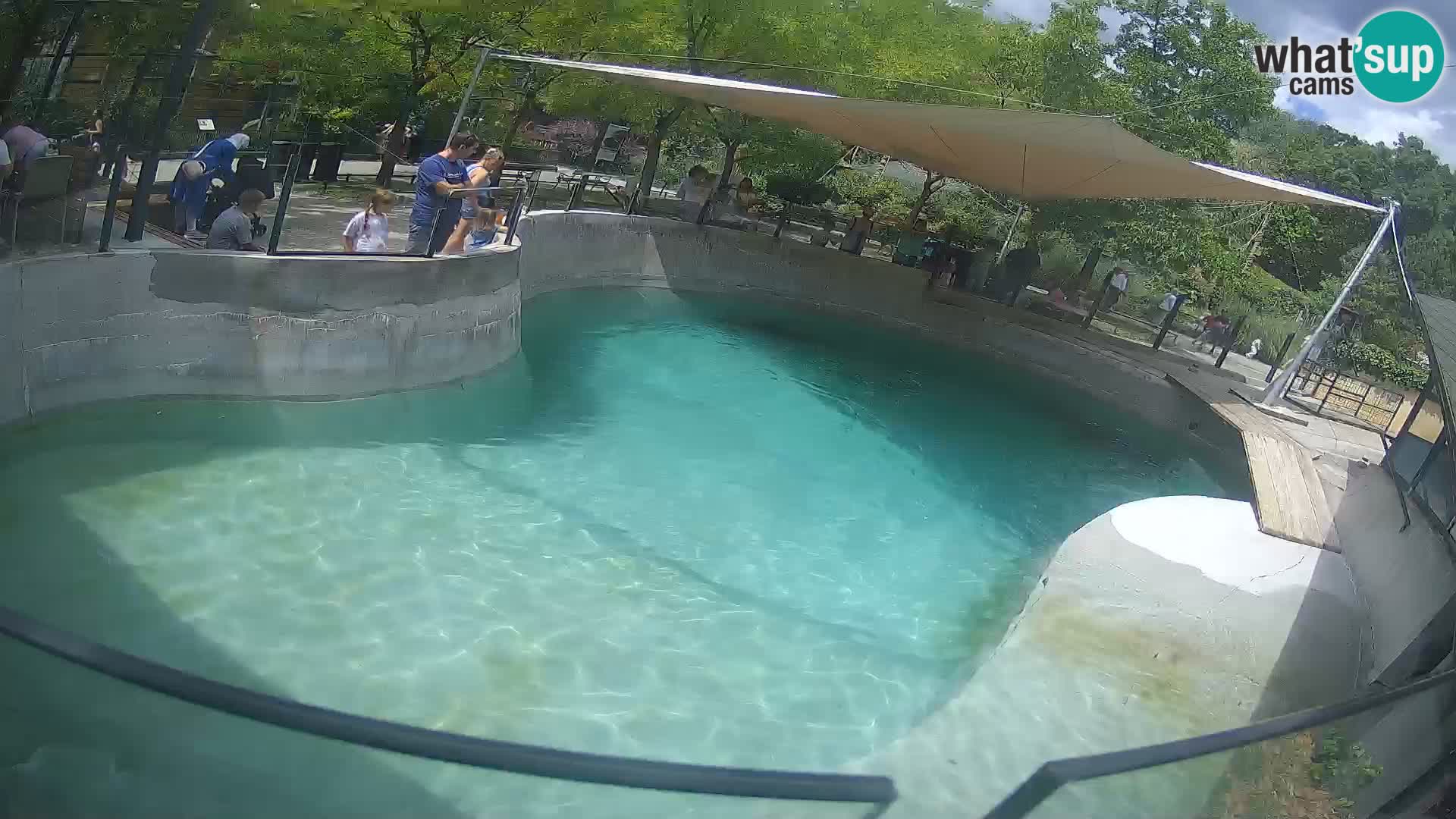 Zoo Zagreb – Kalifornijski morski lav