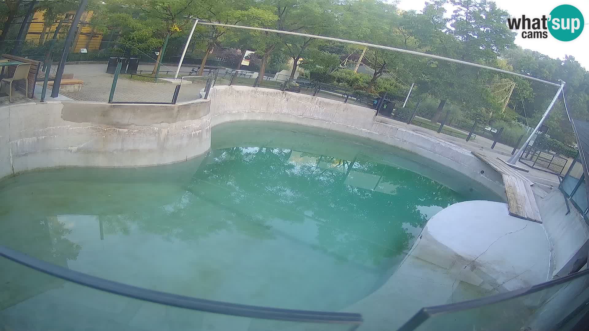 Zoo Zagreb –  León marino de California