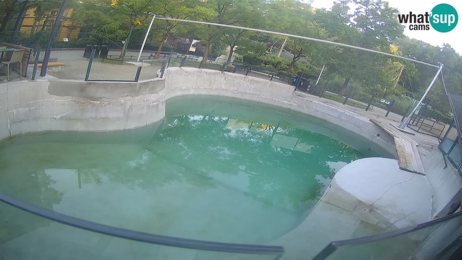 Zoo Zagreb –  León marino de California