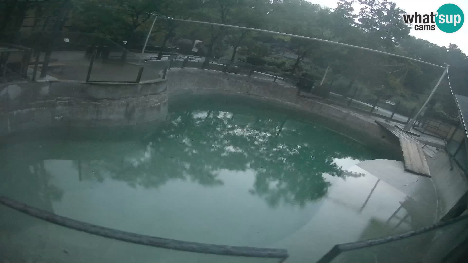 Zoo Zagreb – Kalifornischer Seelöwe