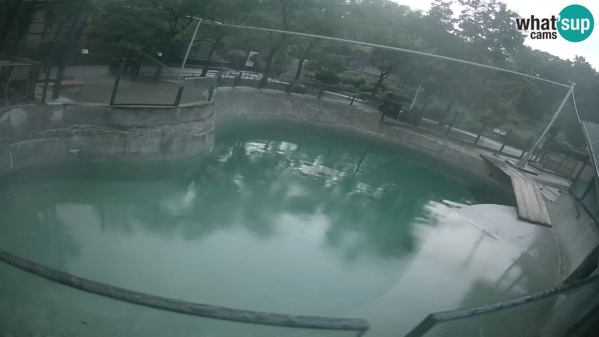 Zoo Zagreb – Kalifornijski morski lev