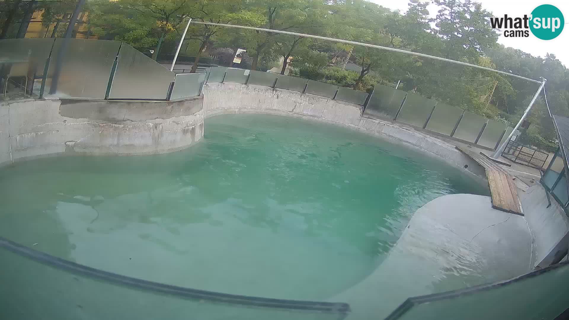 Zoo Zagreb – California Sea Lion