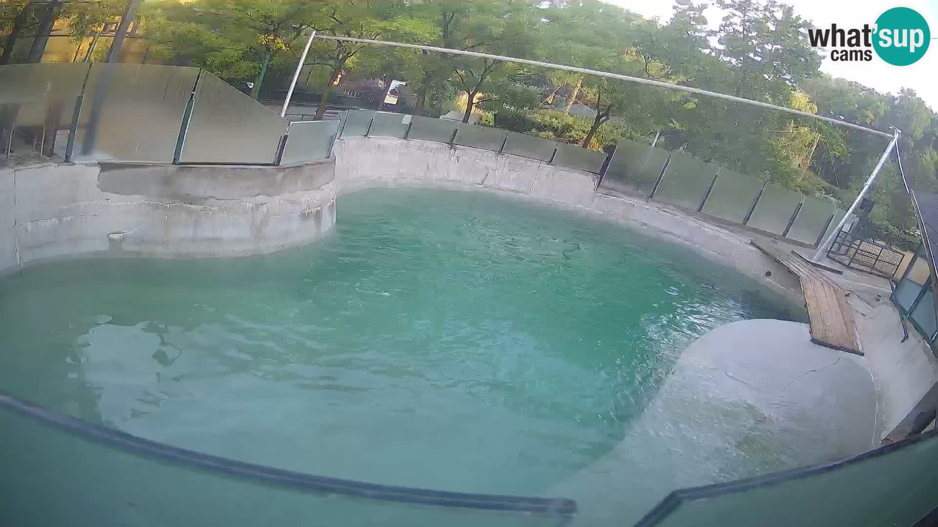 Zoo Zagreb – California Sea Lion