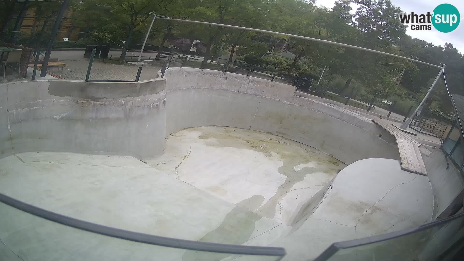 Zoo Zagreb – Kalifornijski morski lev