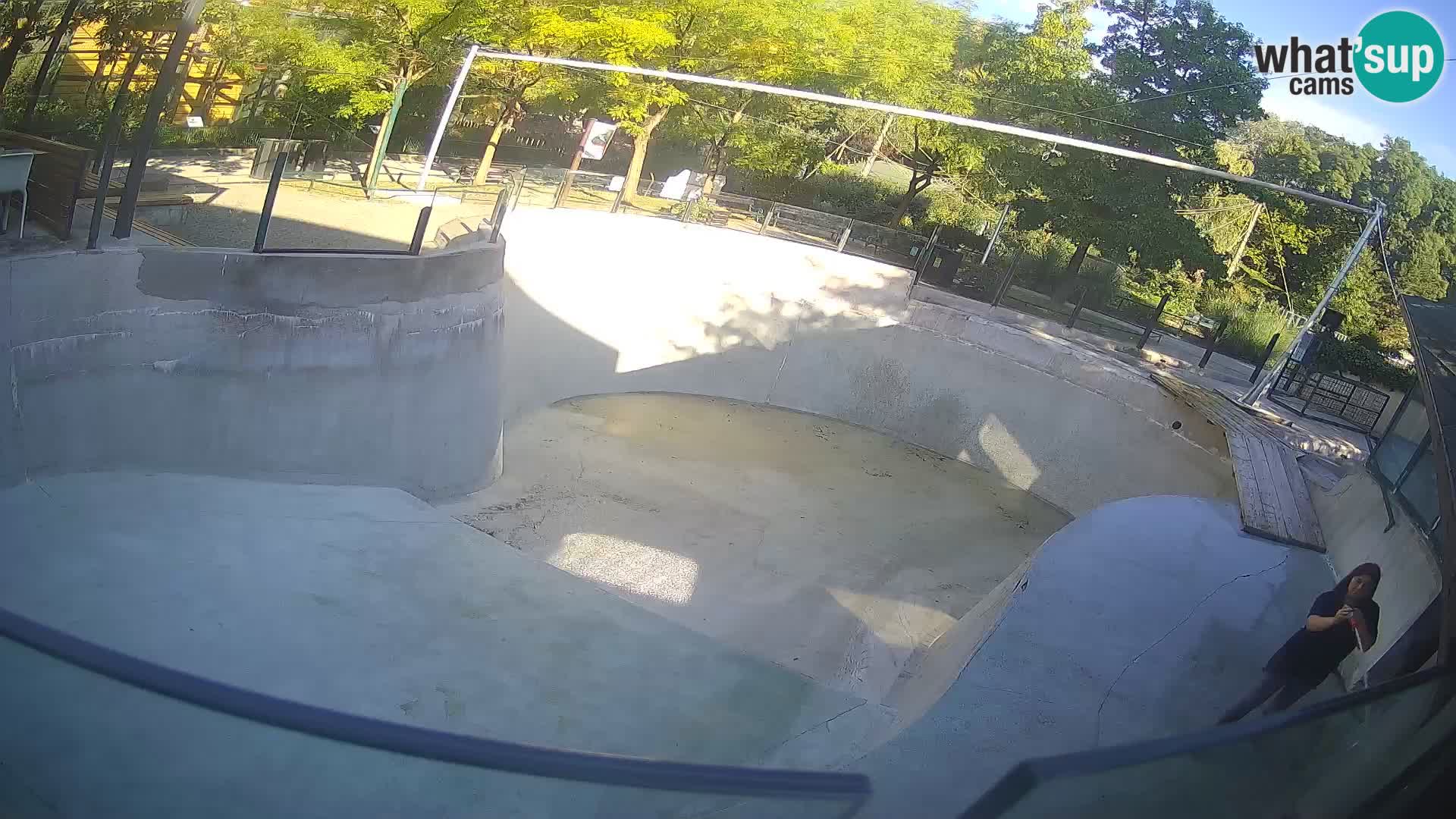 Zoo Zagreb –  León marino de California