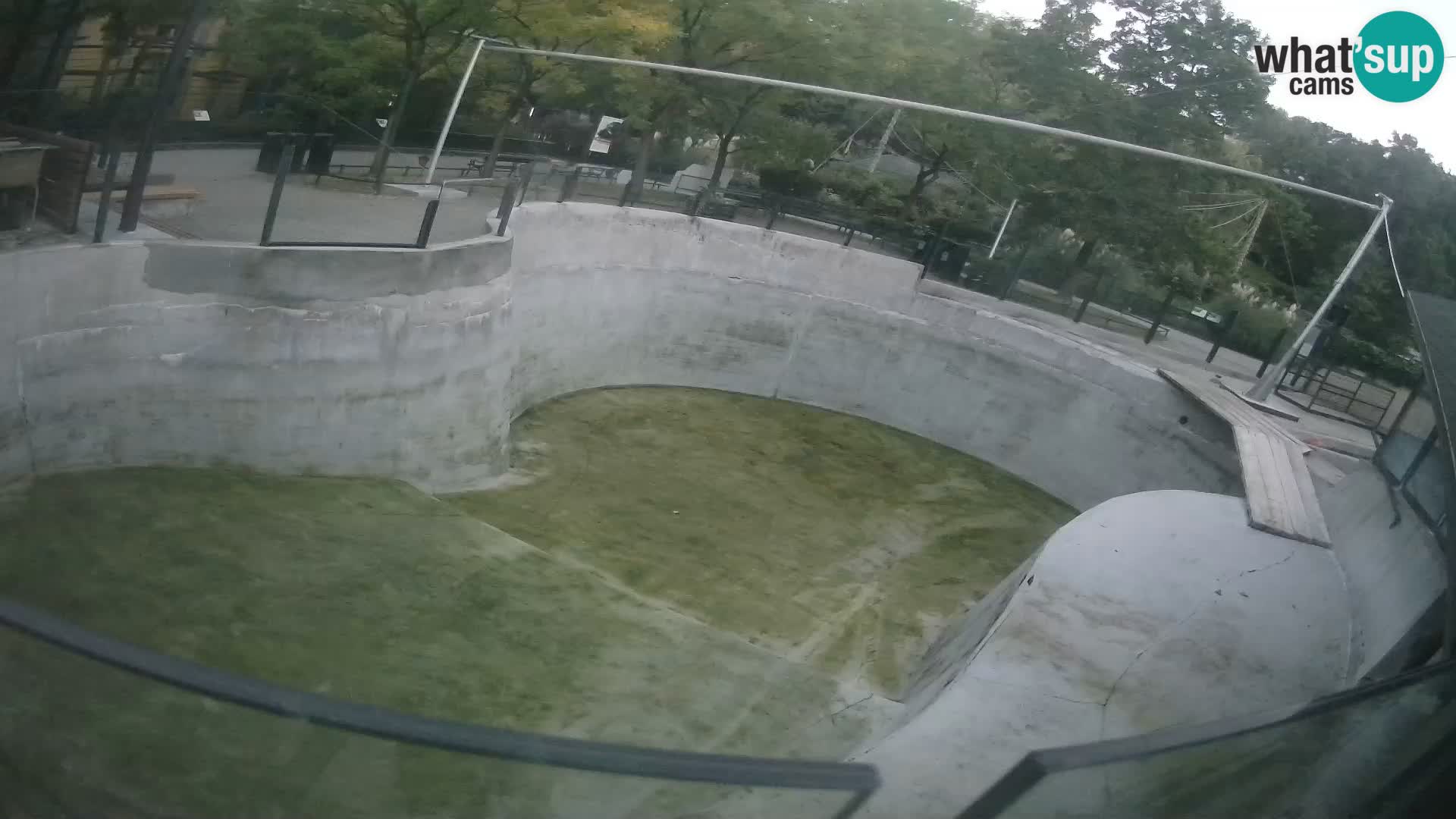 Zoo Zagreb – Kalifornijski morski lav