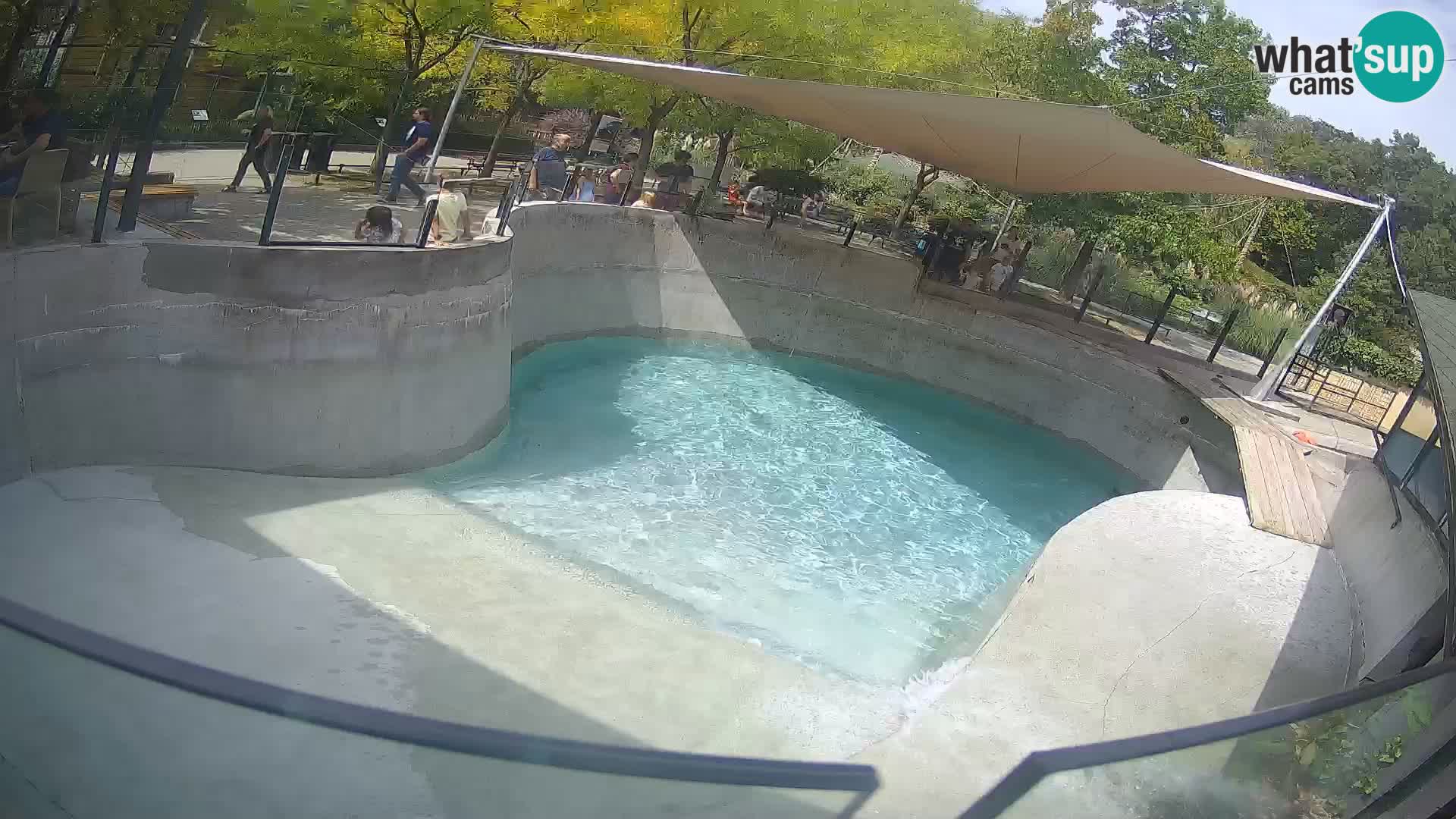 Zoo Zagreb – Kalifornijski morski lav
